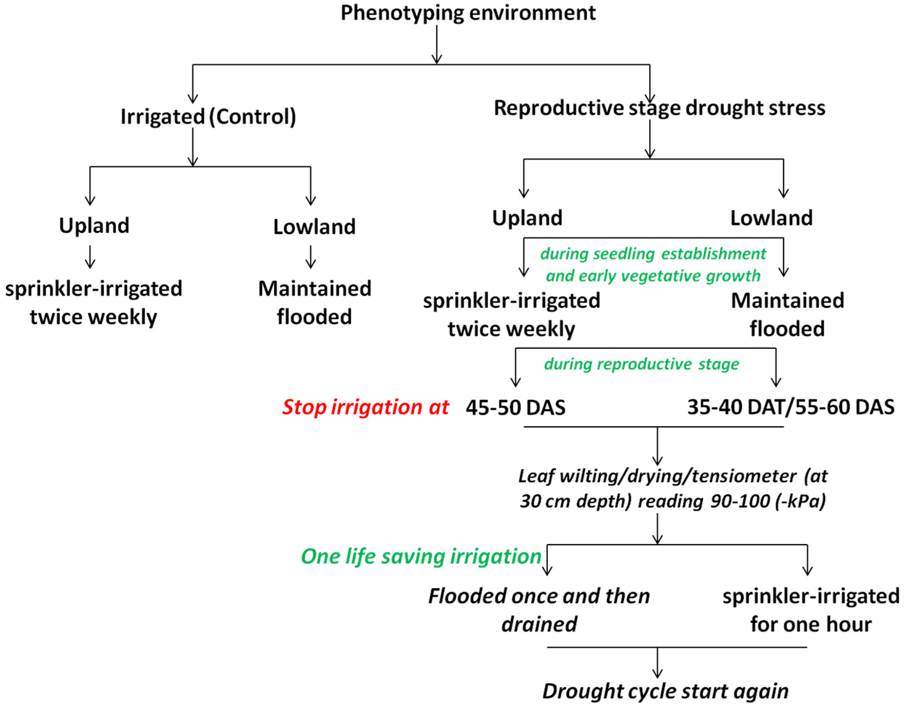 Agronomy 07 00027 g003