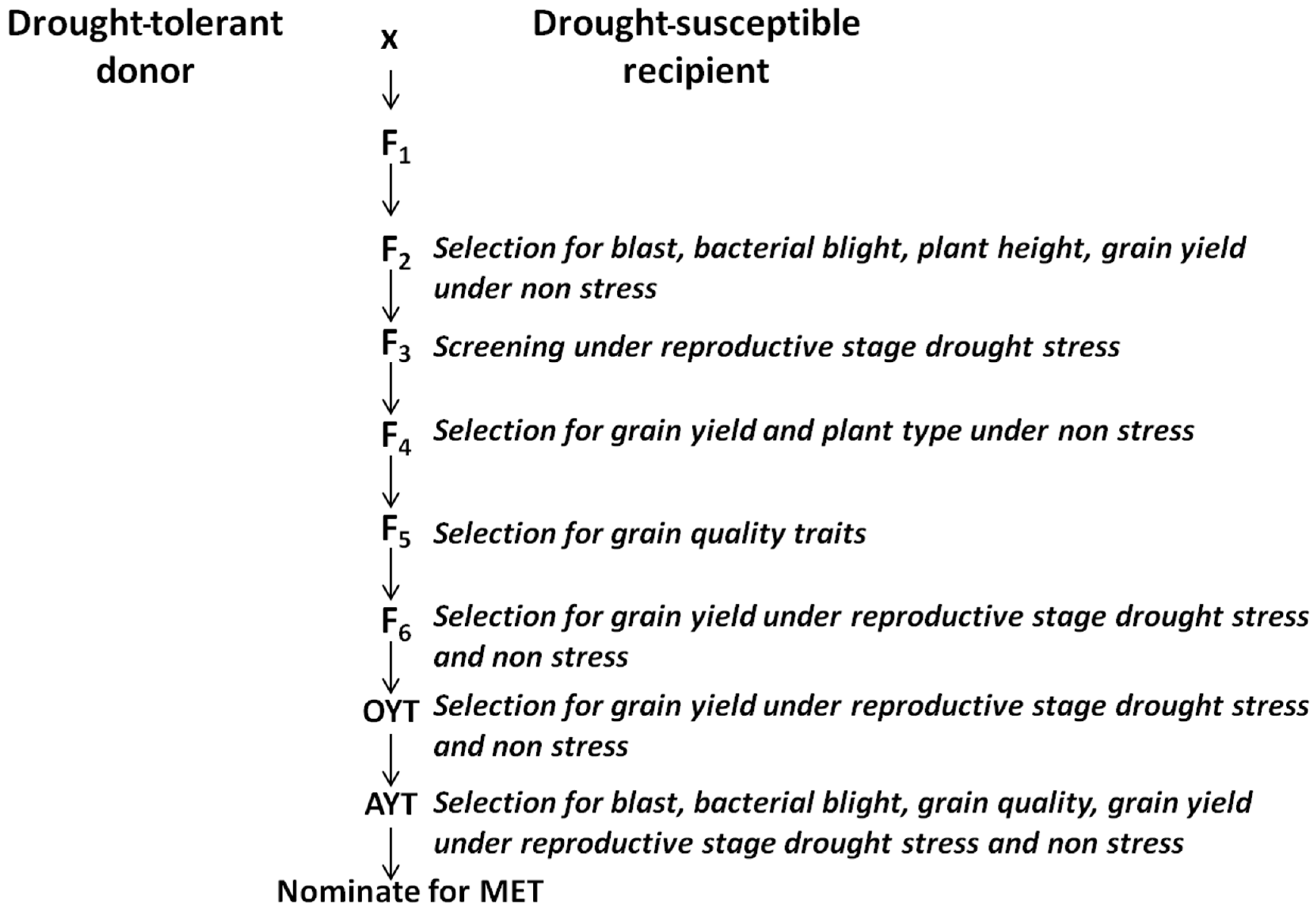 Agronomy 07 00027 g004