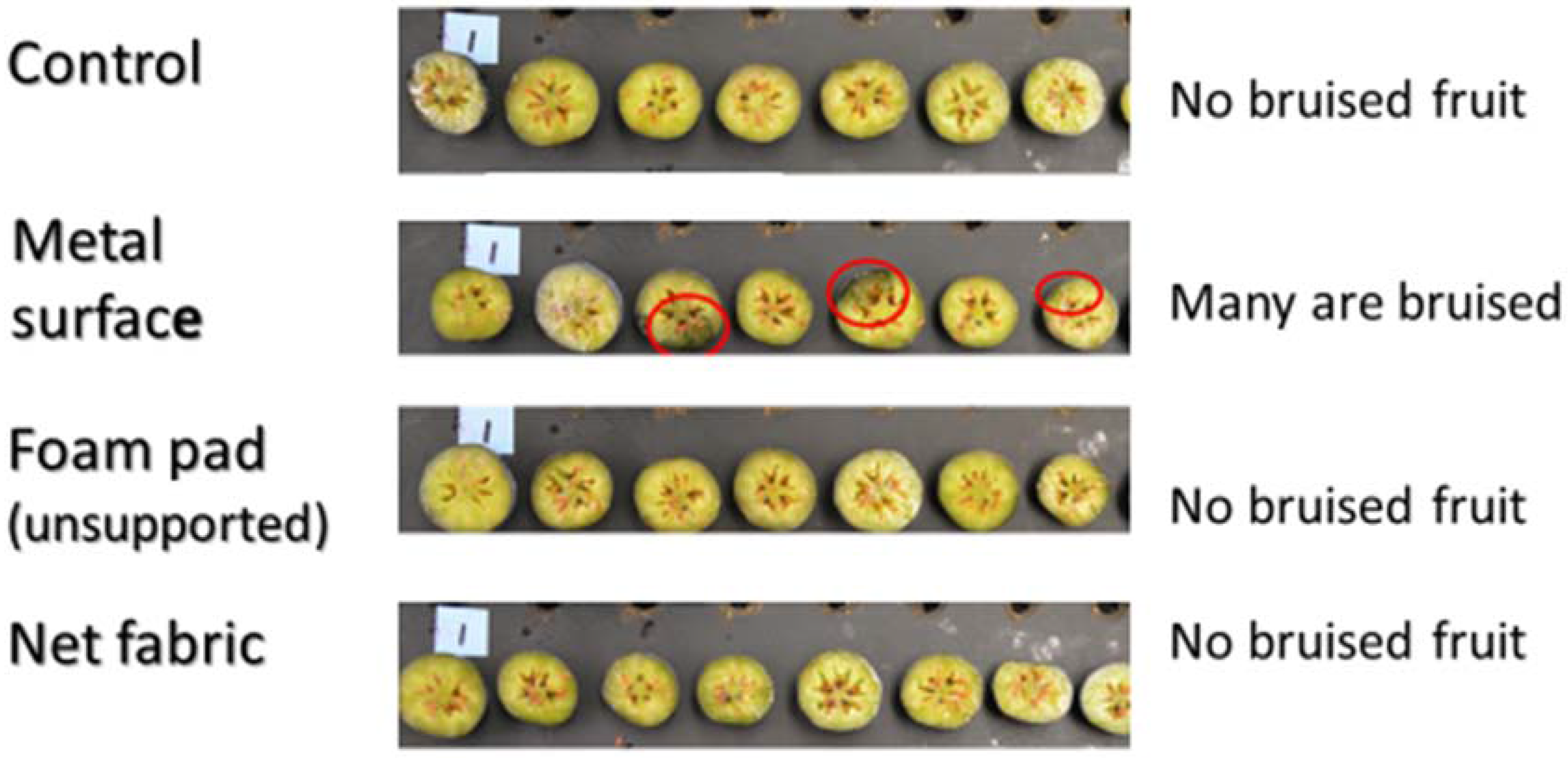 Agronomy 07 00033 g004