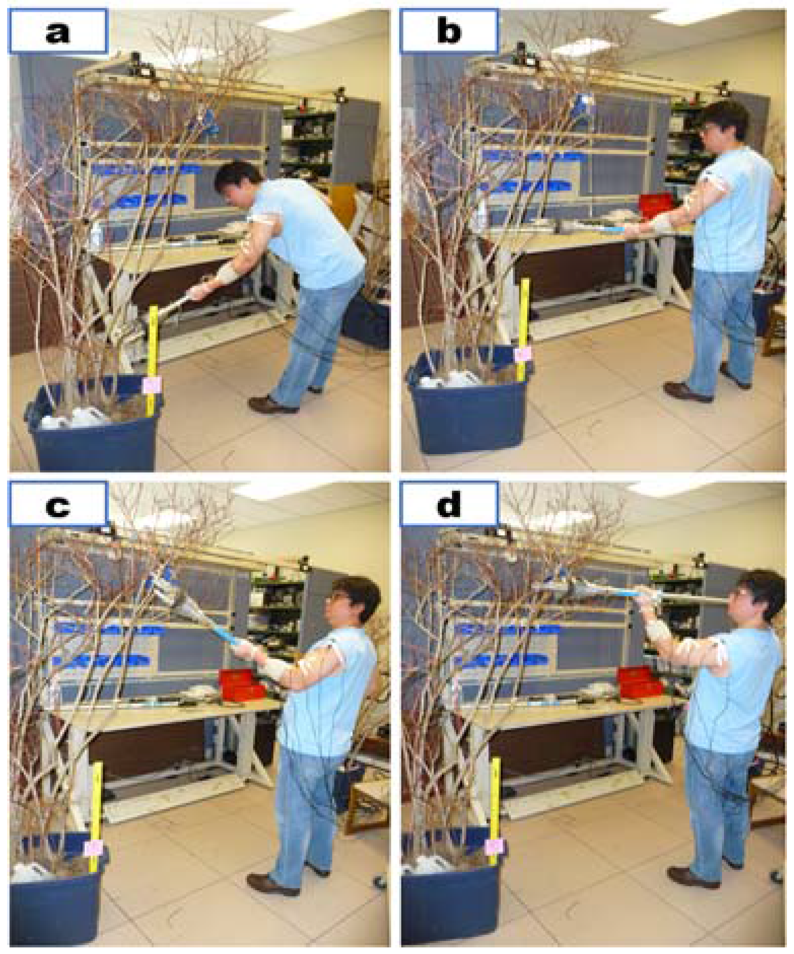 Agronomy 07 00033 g008