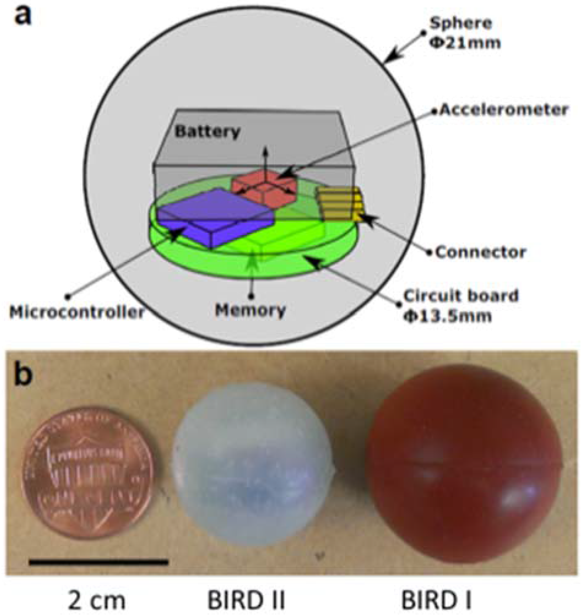 Agronomy 07 00033 g012