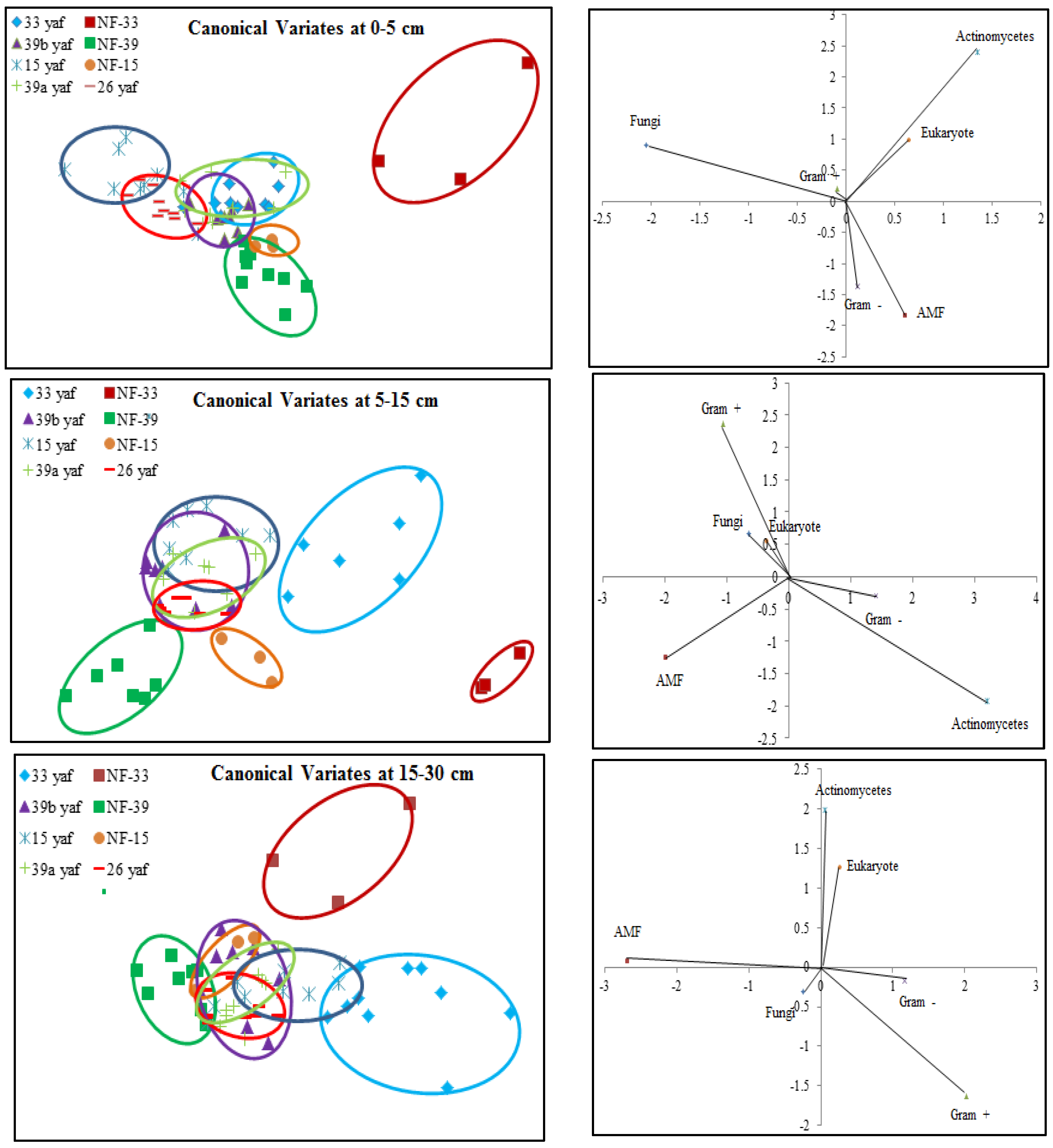 Agronomy 07 00037 g005