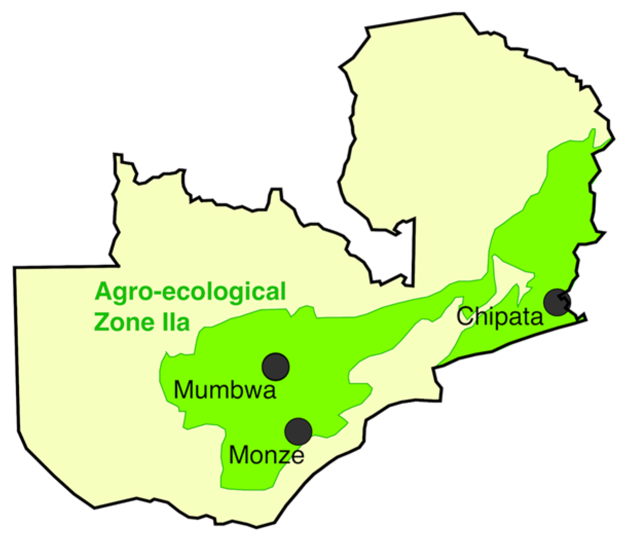 Agronomy 07 00040 g008