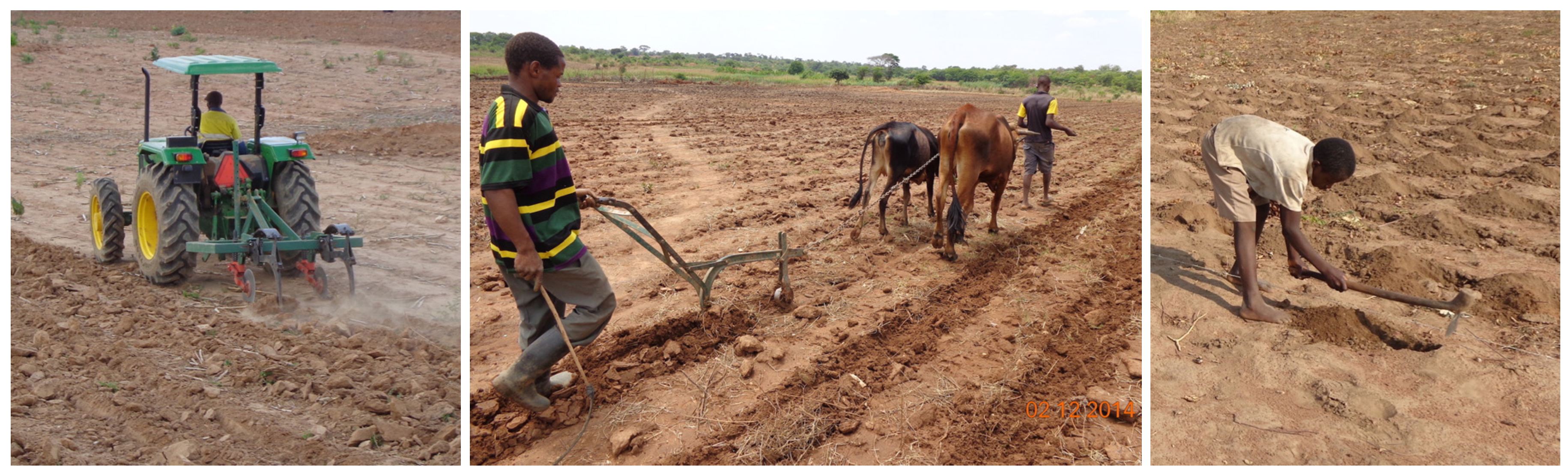 Agronomy 07 00040 g009