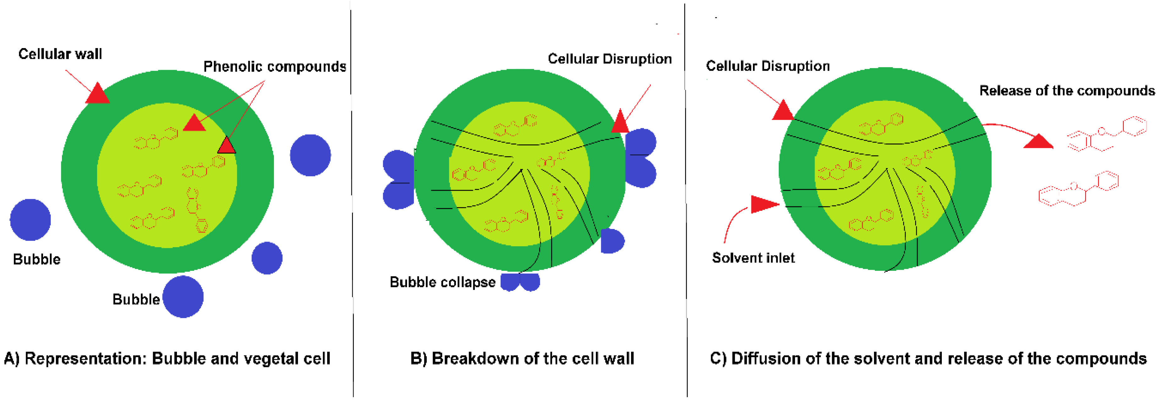 Agronomy 07 00047 g003