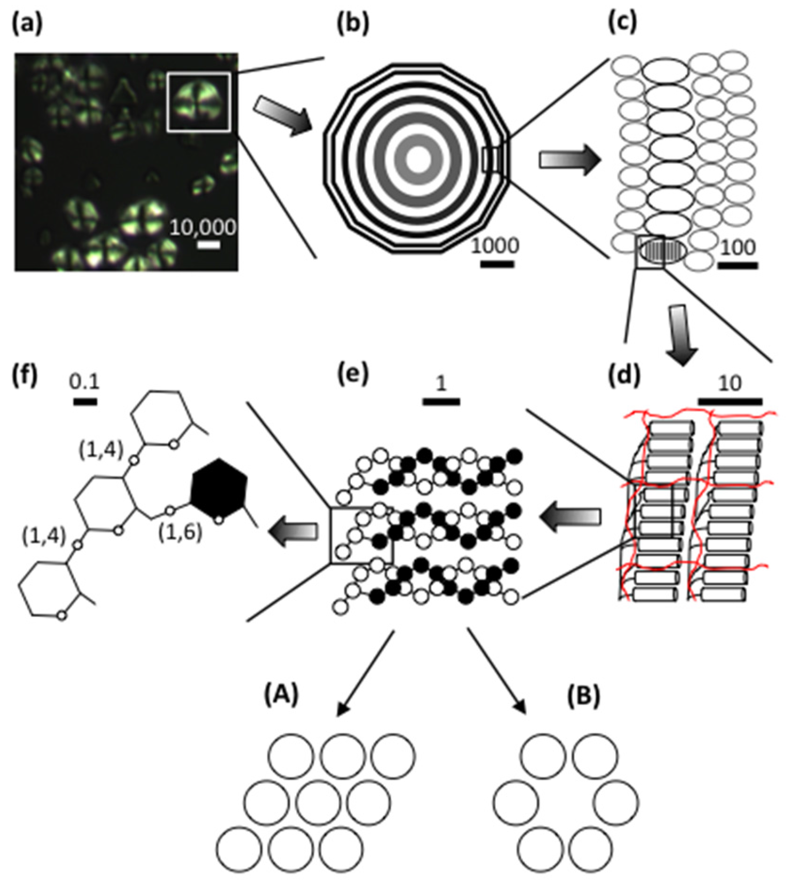 Agronomy 07 00056 g001