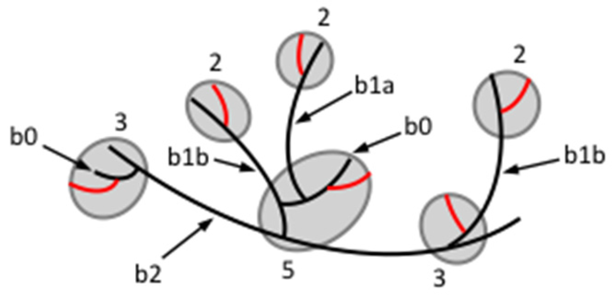 Agronomy 07 00056 g003