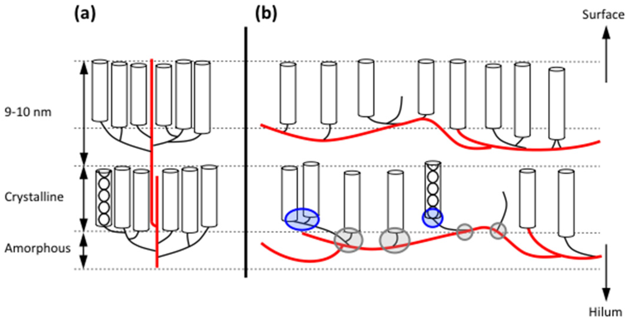Agronomy 07 00056 g004