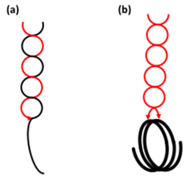 Agronomy 07 00056 g005