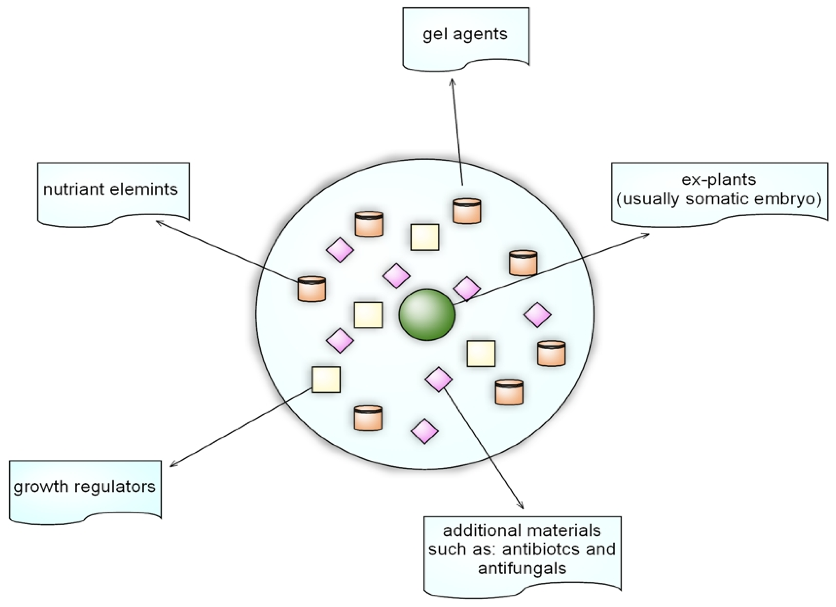Agronomy 07 00071 g002