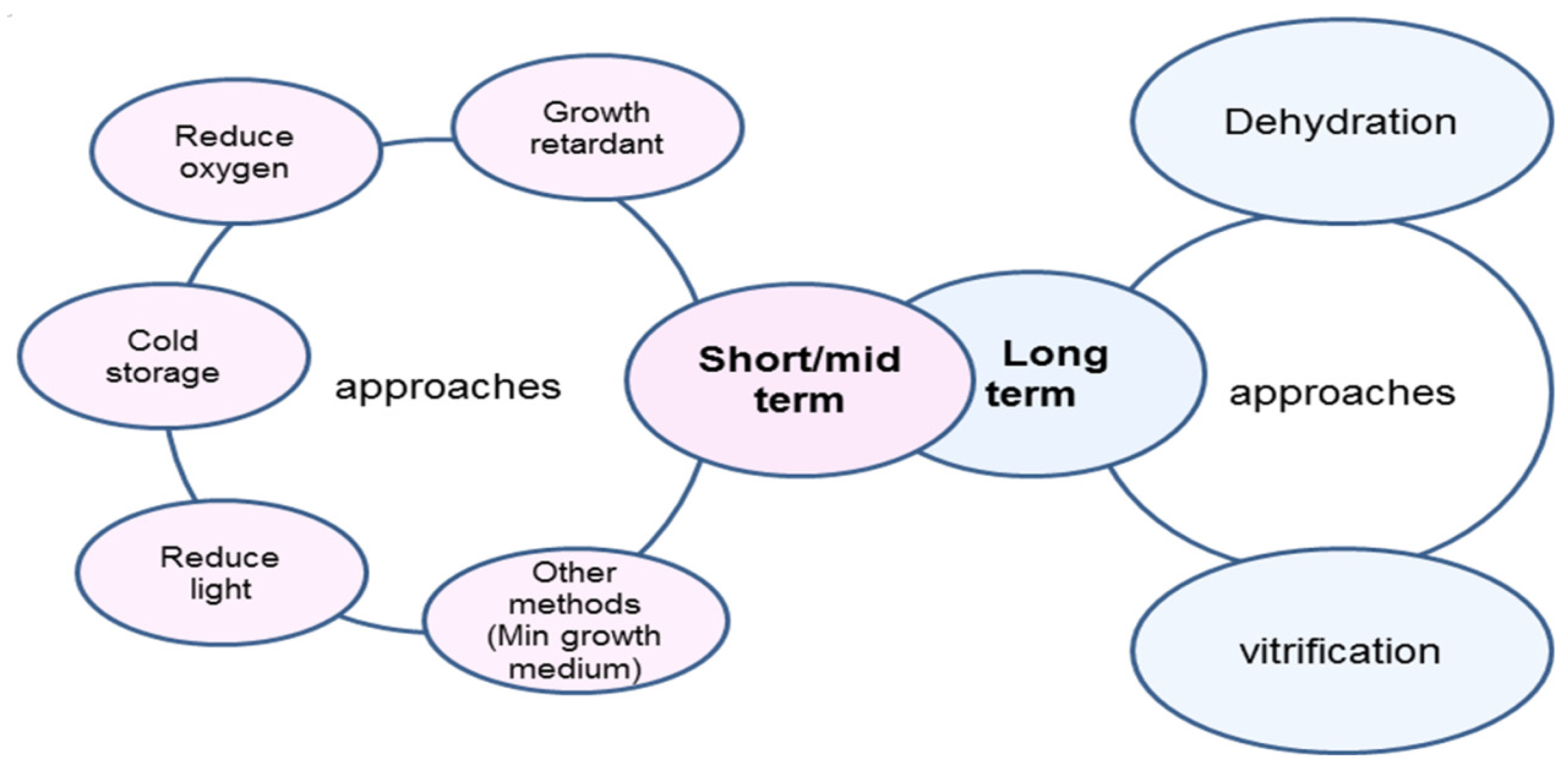 Agronomy 07 00071 g003