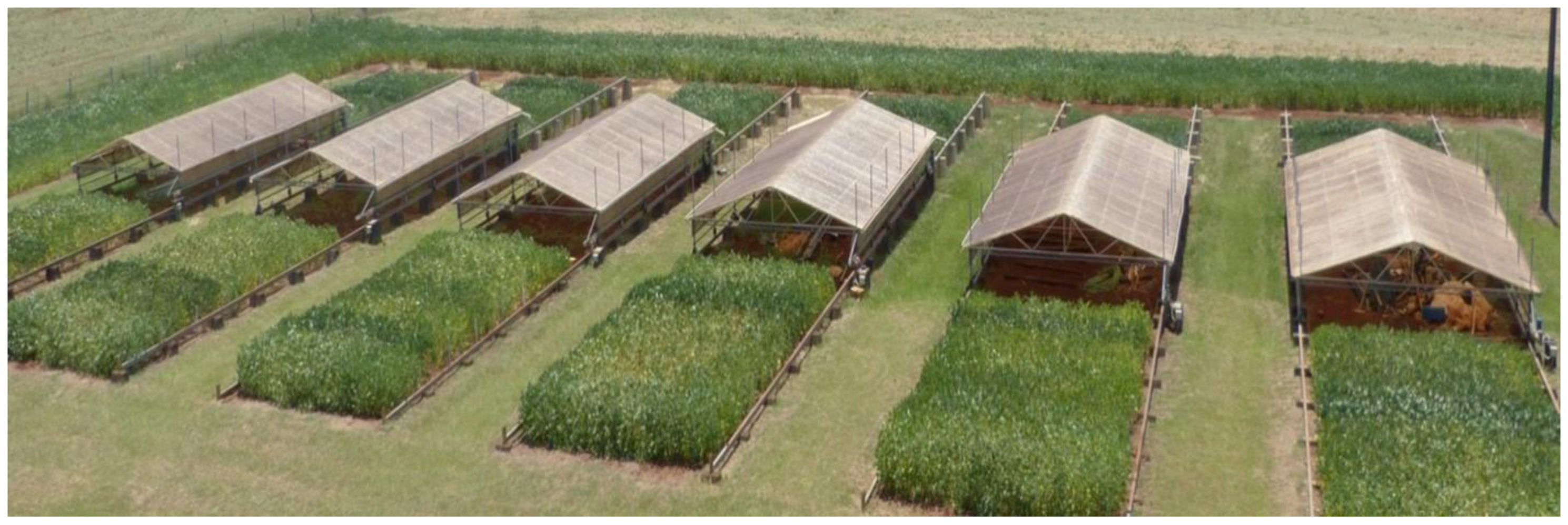 Agronomy 08 00003 g001