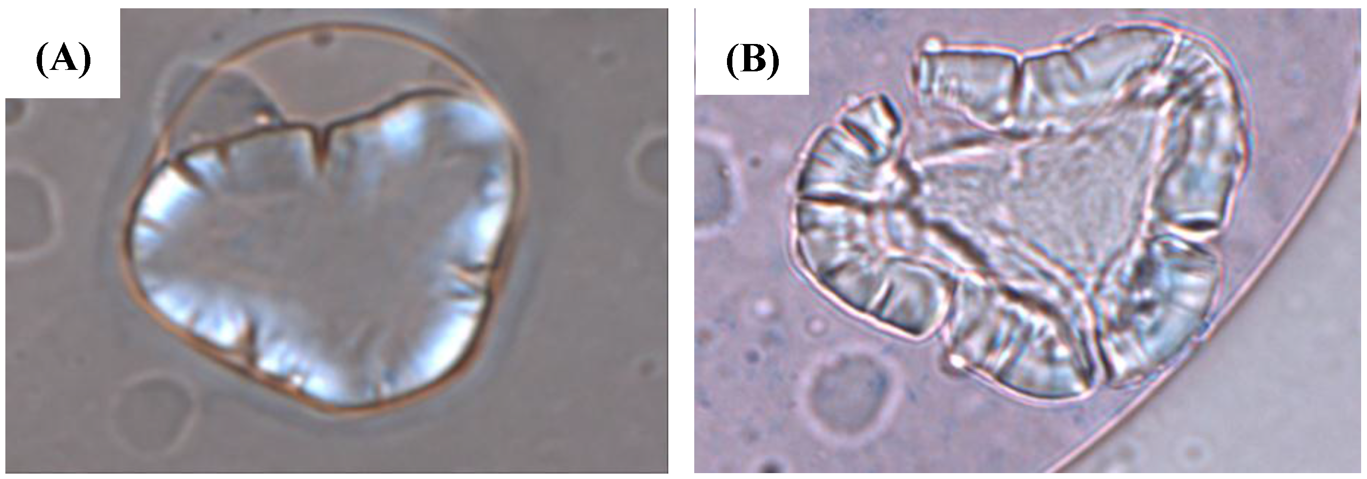 Agronomy 08 00004 g002