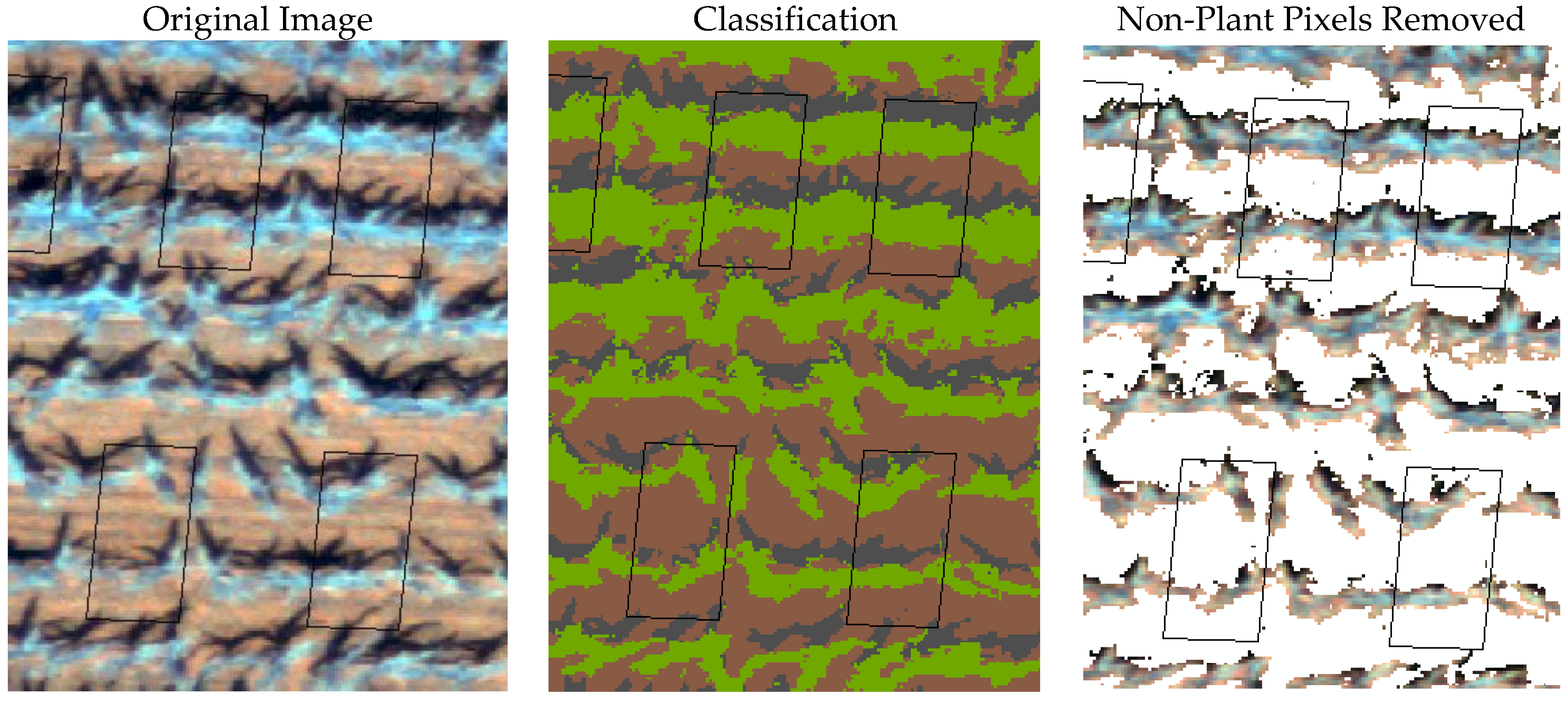 Agronomy 08 00016 g001