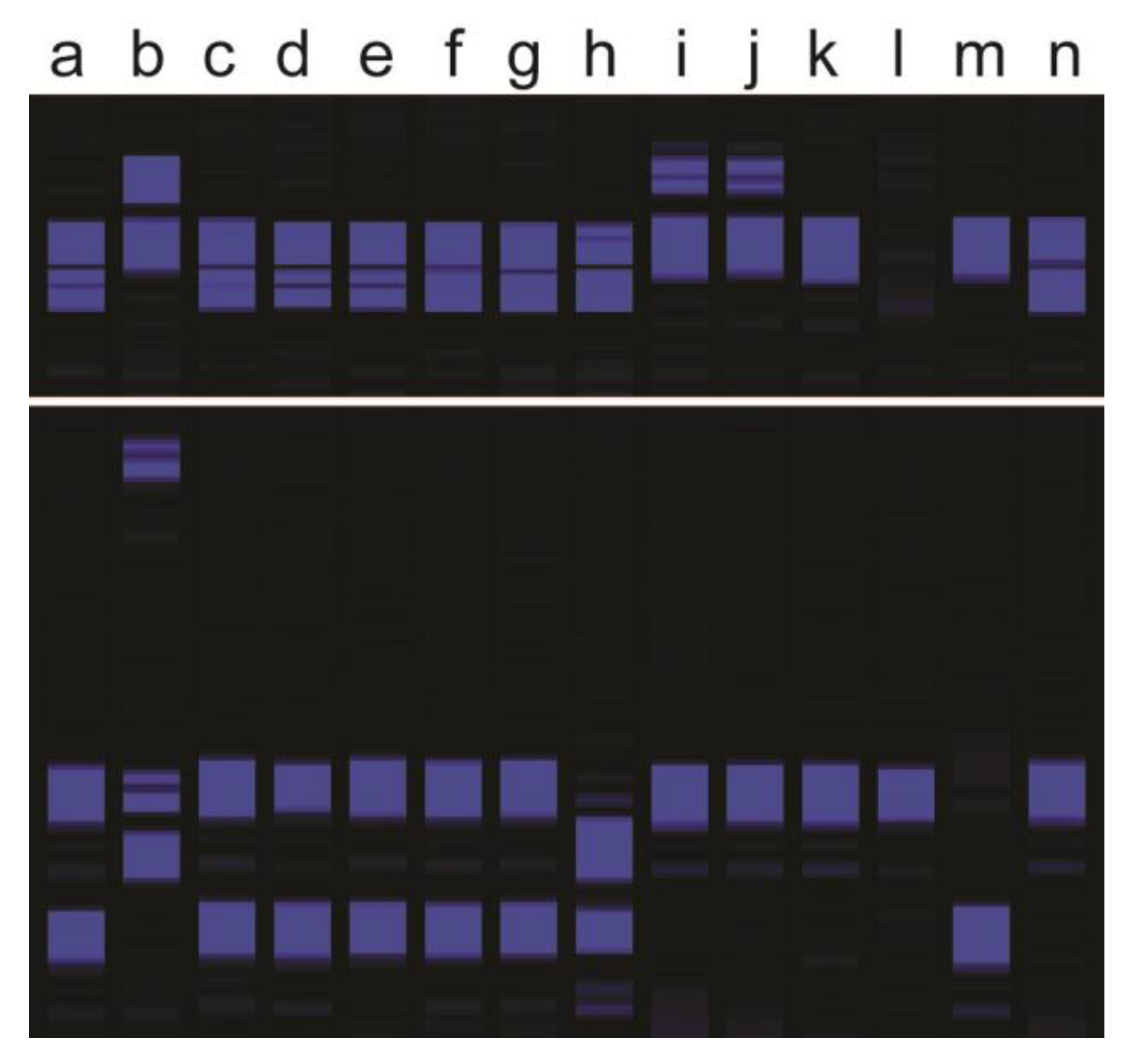 Agronomy 08 00017 g001