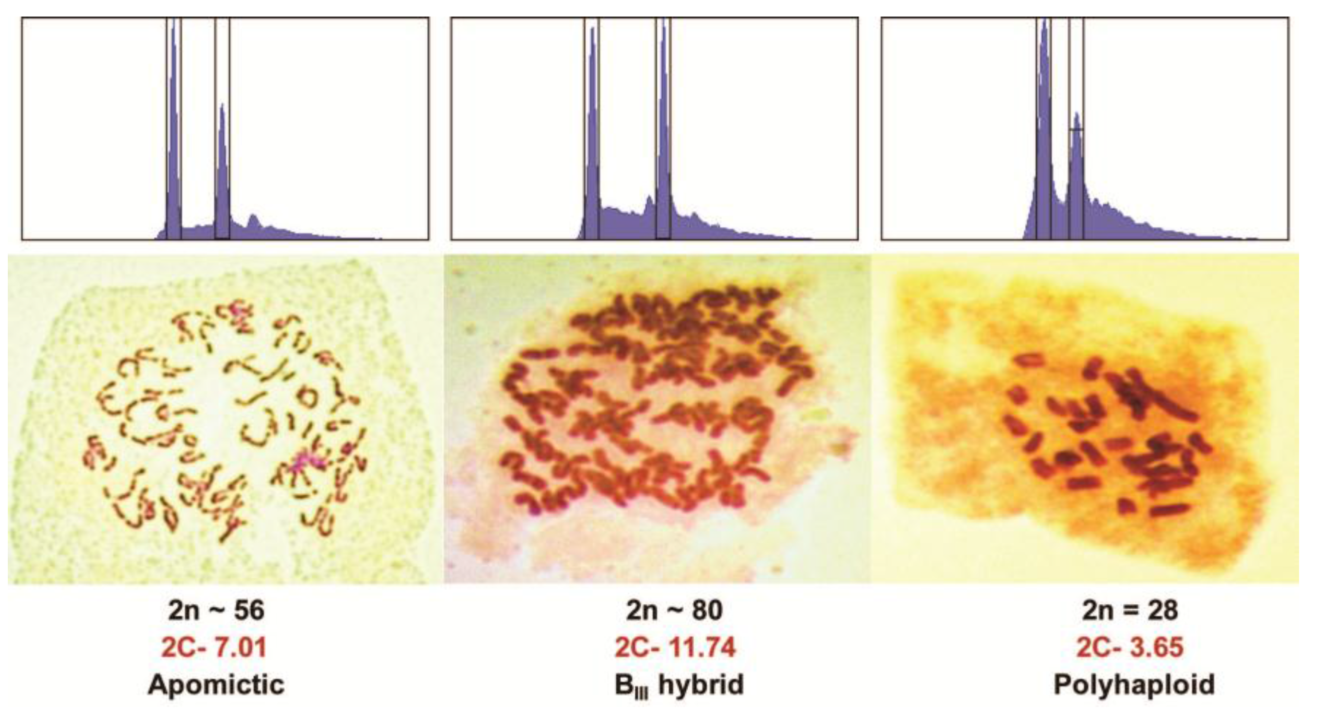 Agronomy 08 00017 g002