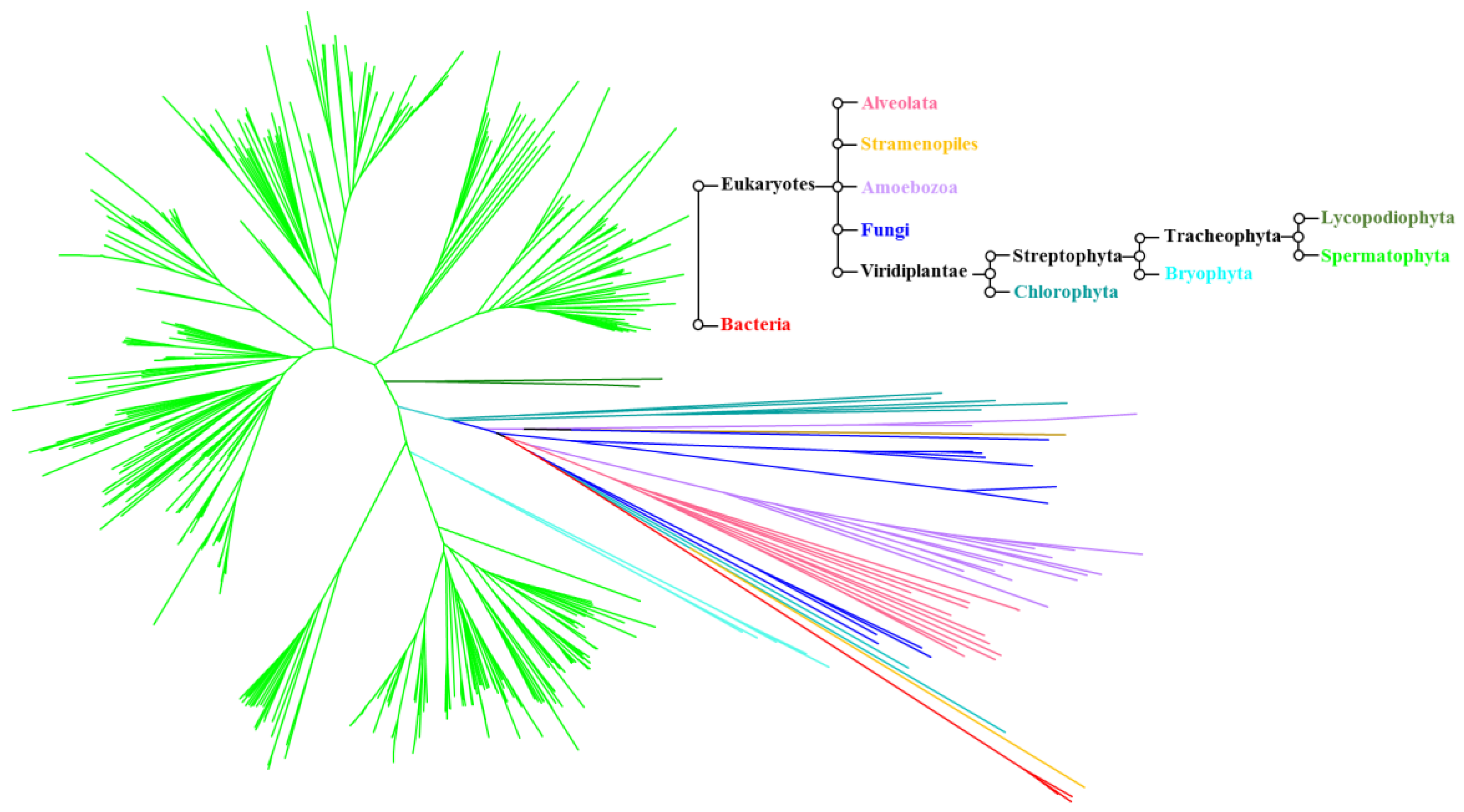 Agronomy 08 00020 g004 Agronomy 08 00020 g004