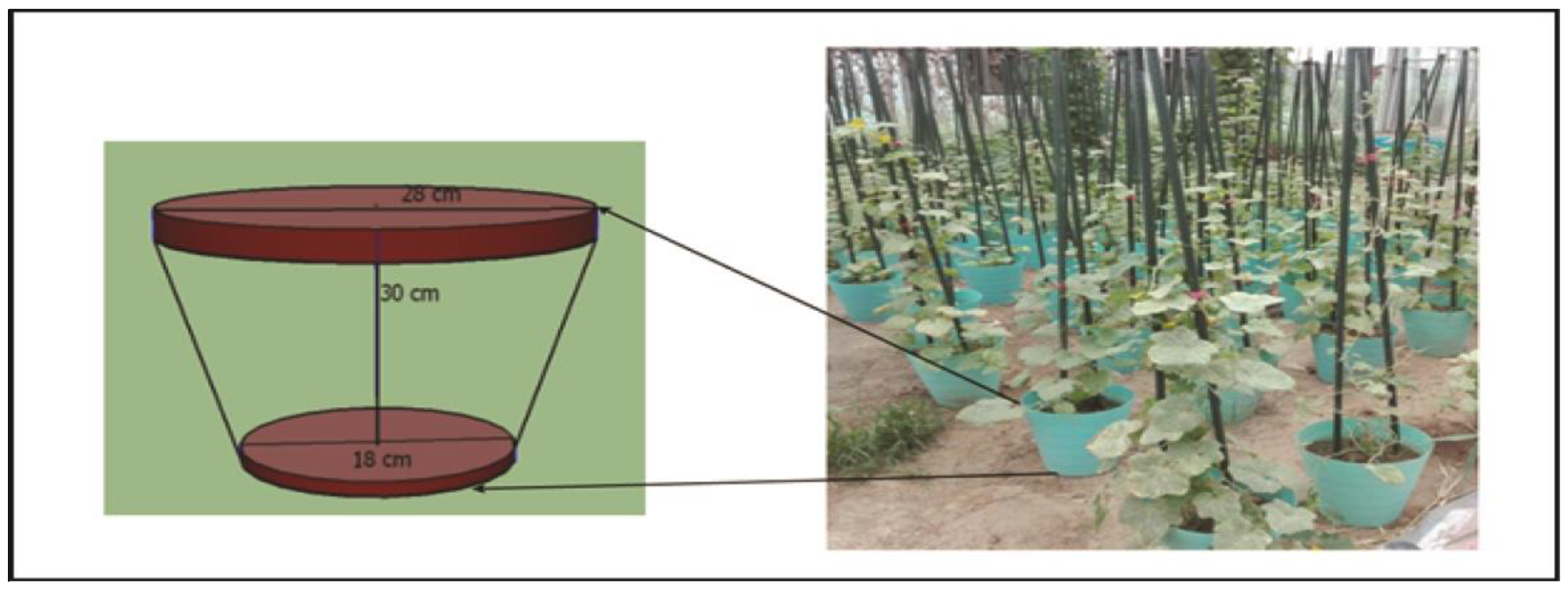Agronomy 08 00022 g001