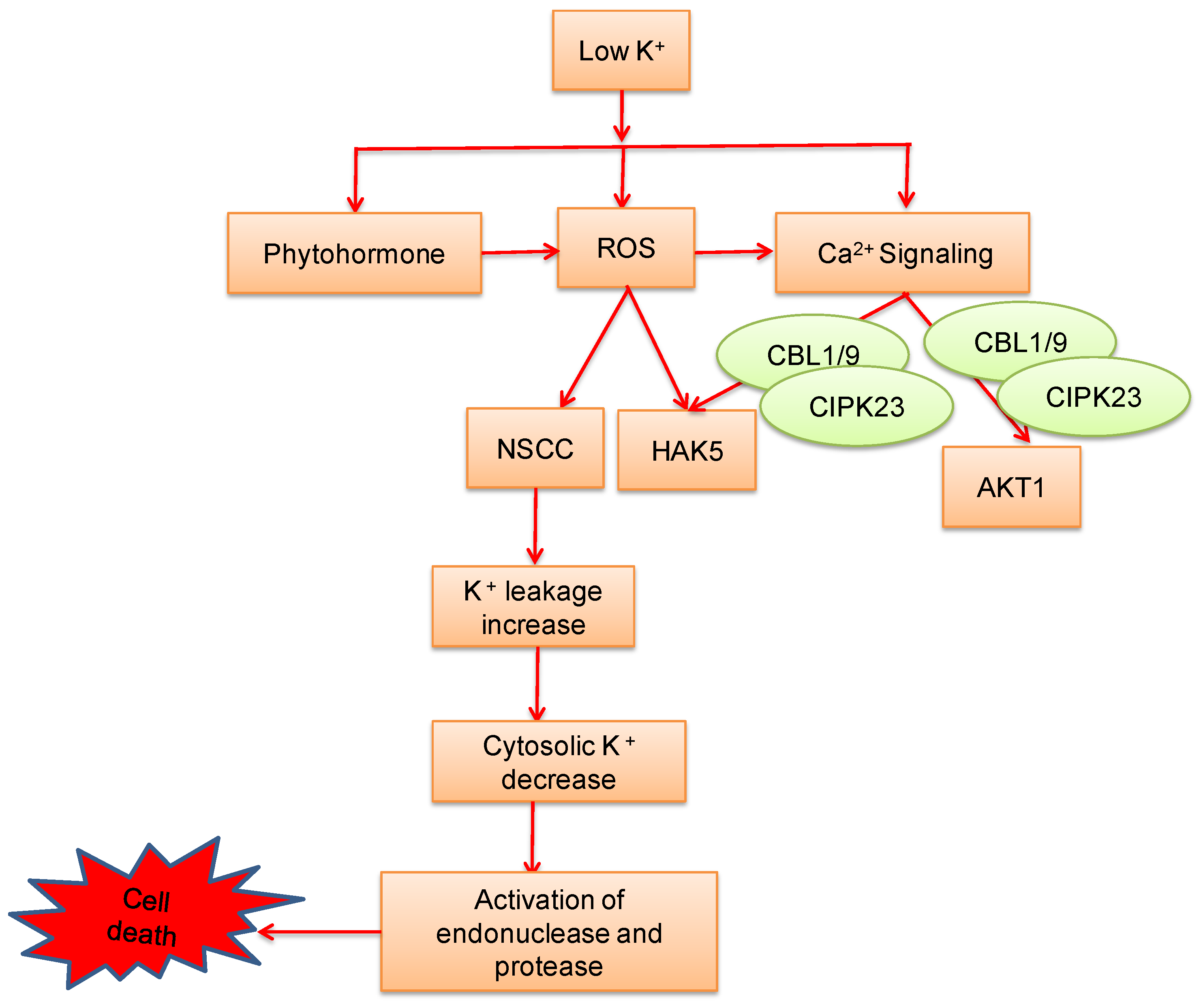 Agronomy 08 00031 g004