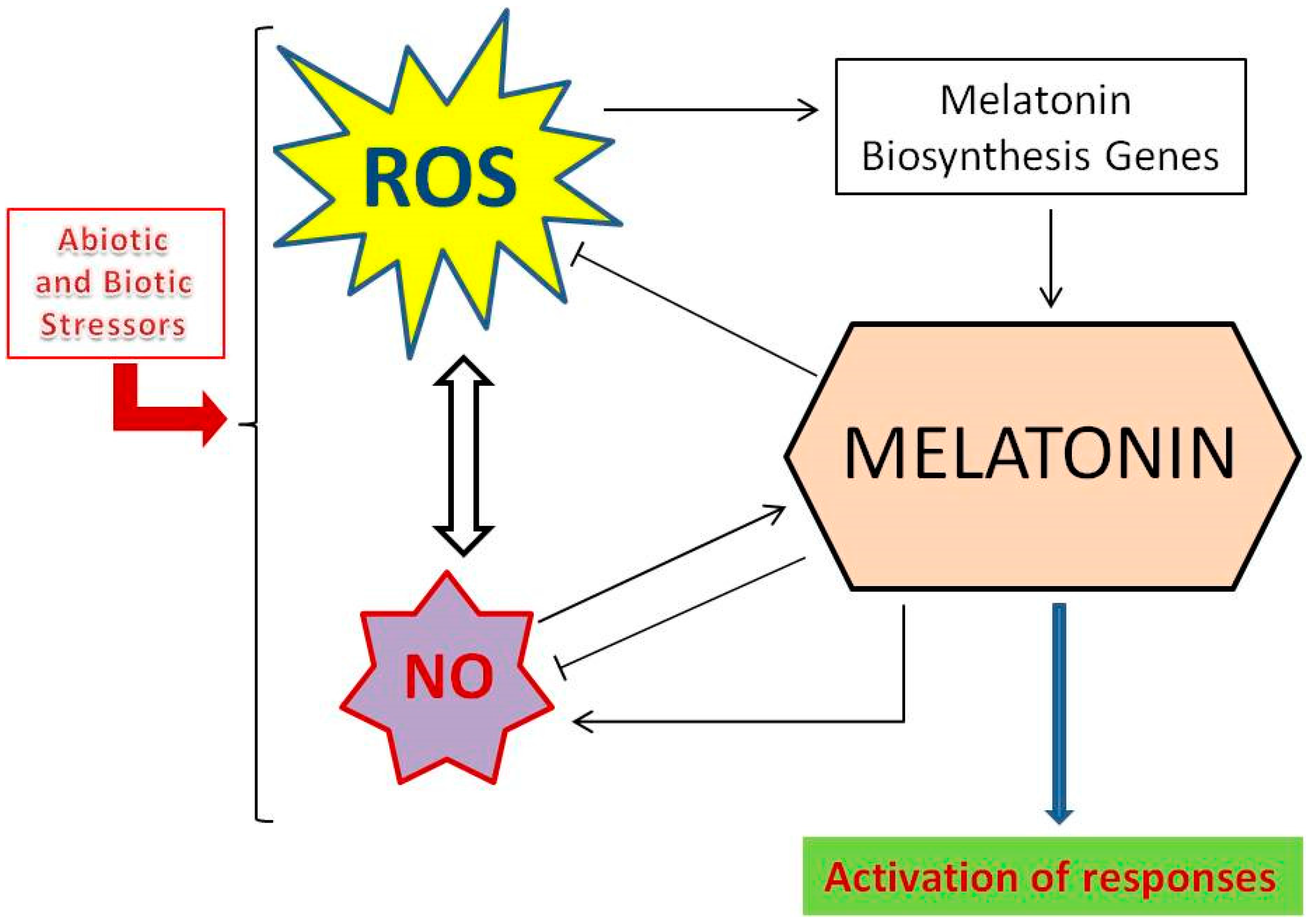 Agronomy 08 00033 g002