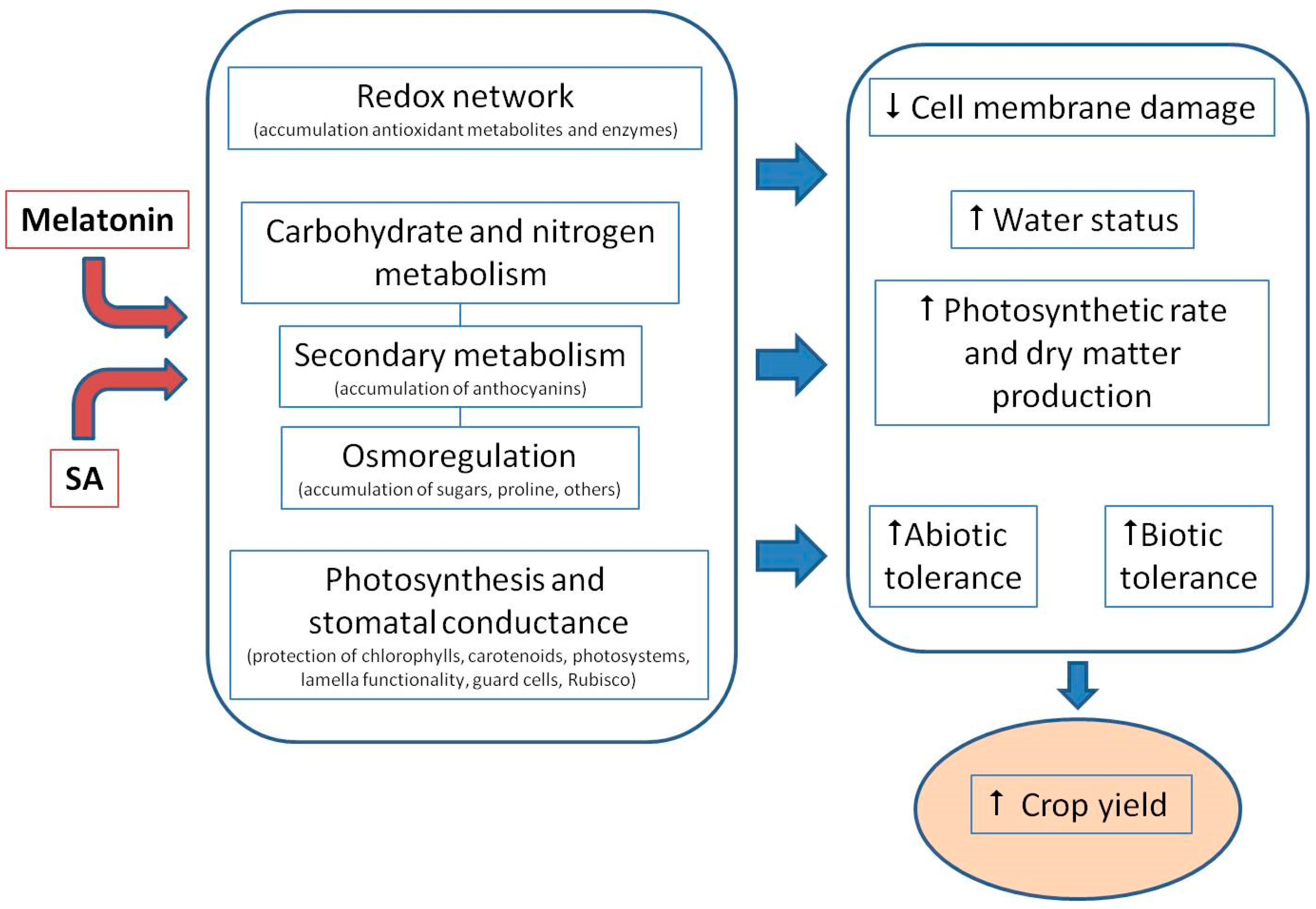 Agronomy 08 00033 g004