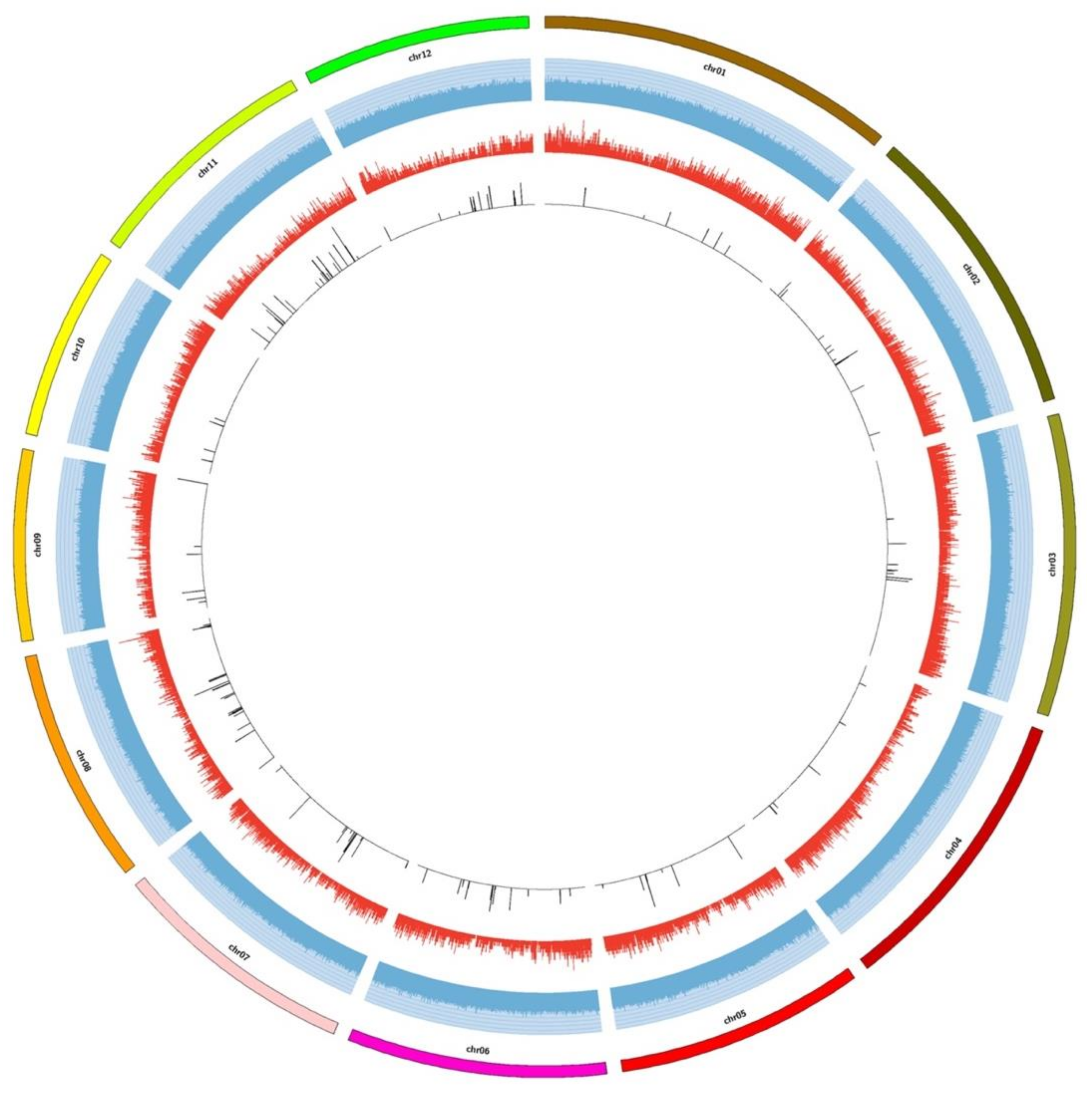 Agronomy 08 00036 g001