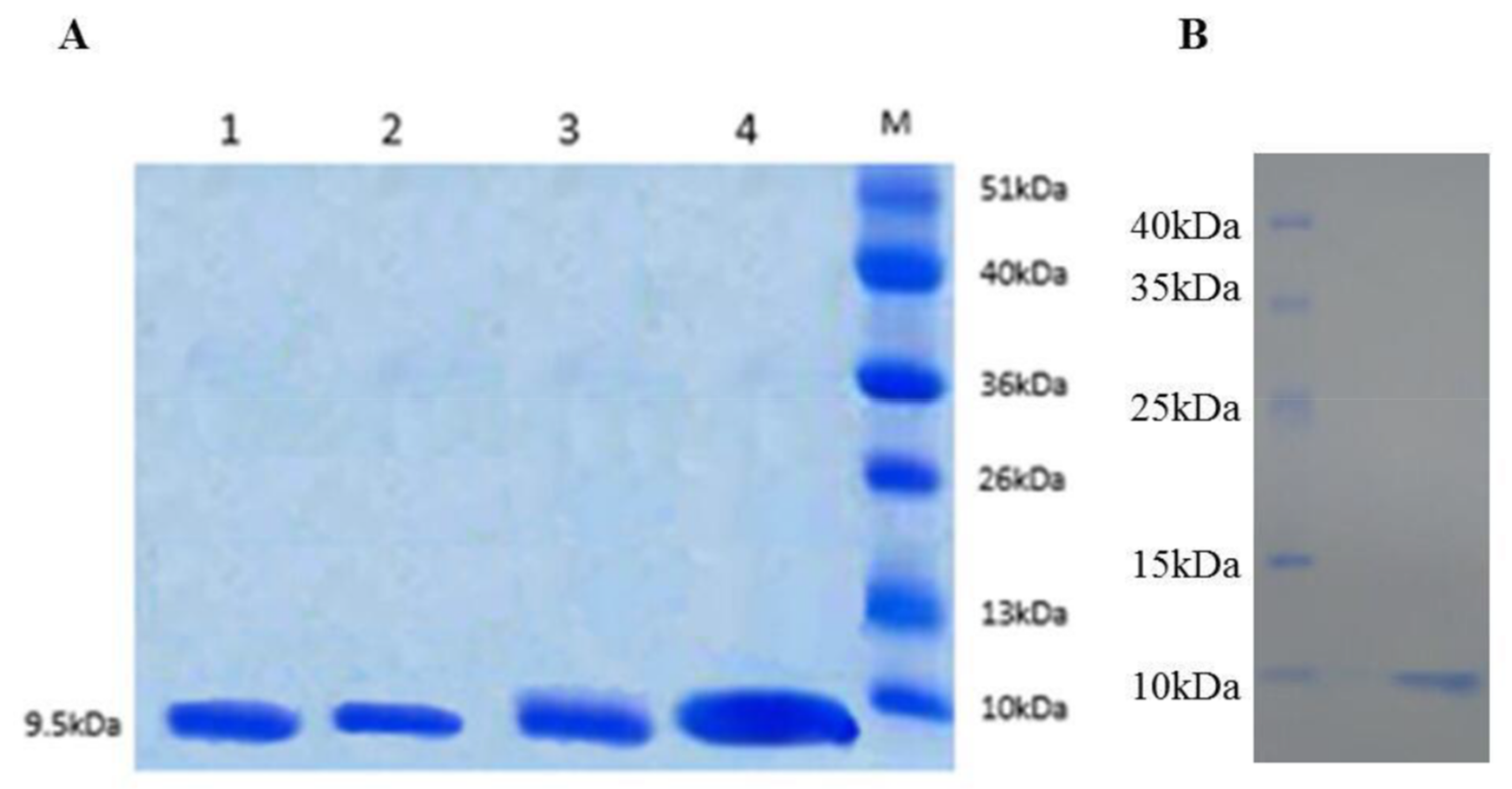 Agronomy 08 00046 g002