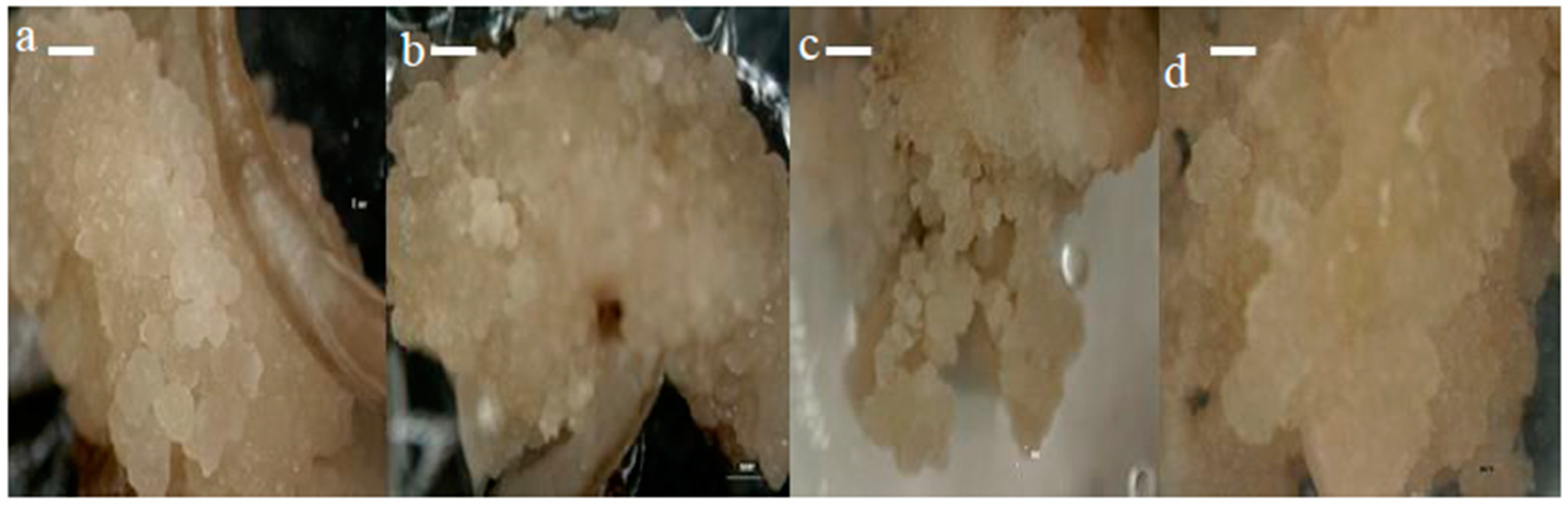 Agronomy 08 00077 g002