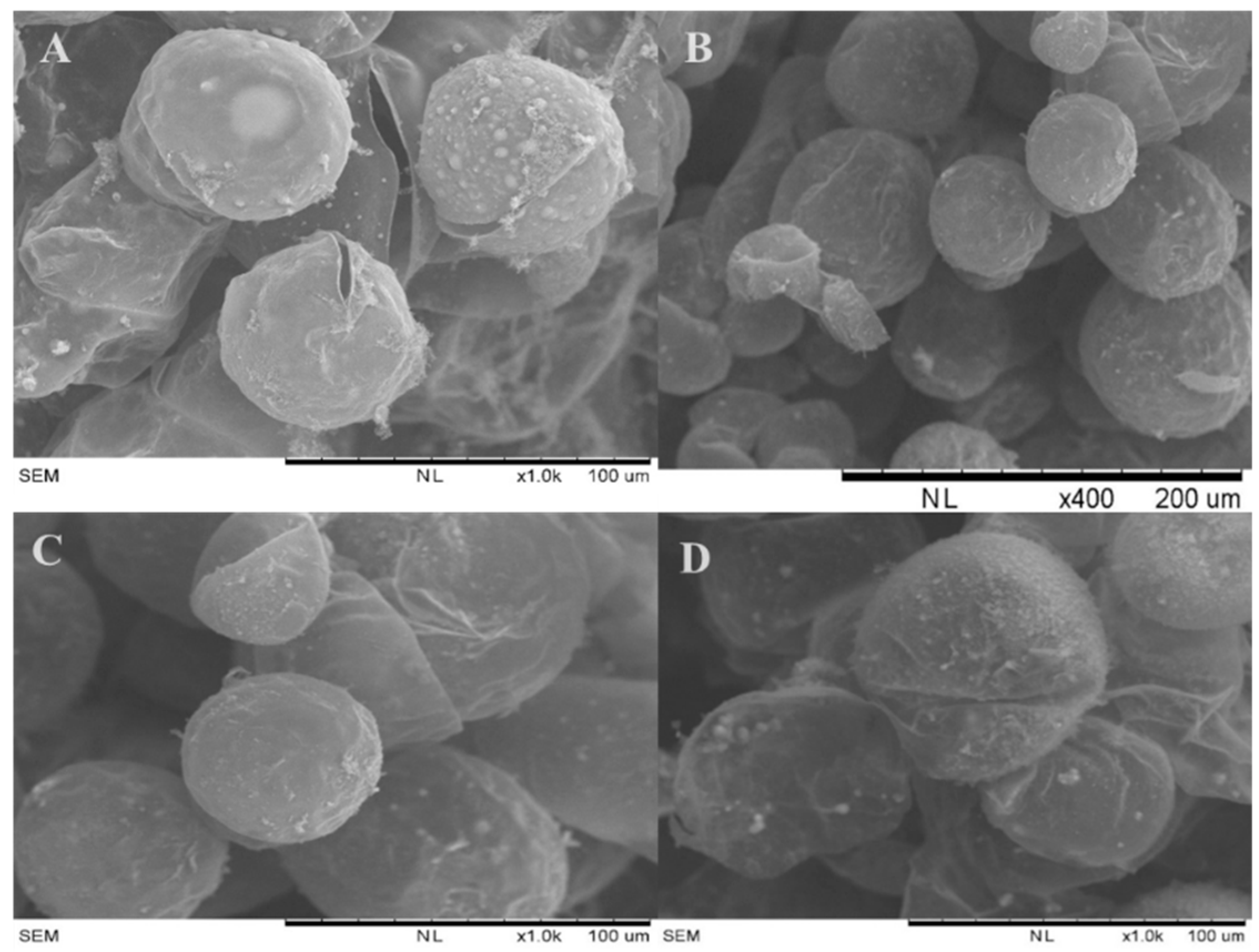 Agronomy 08 00077 g006