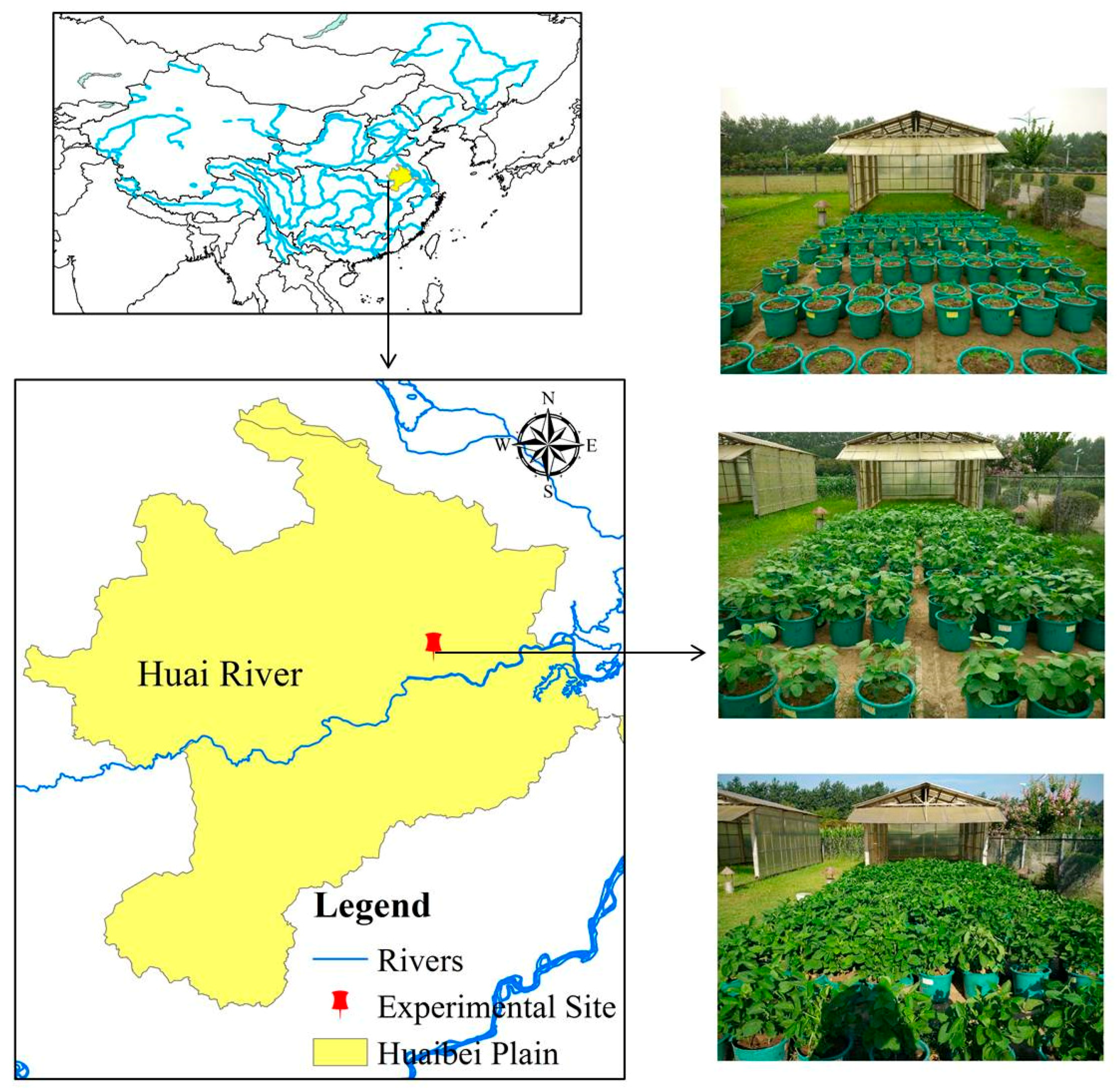 Agronomy 08 00097 g001