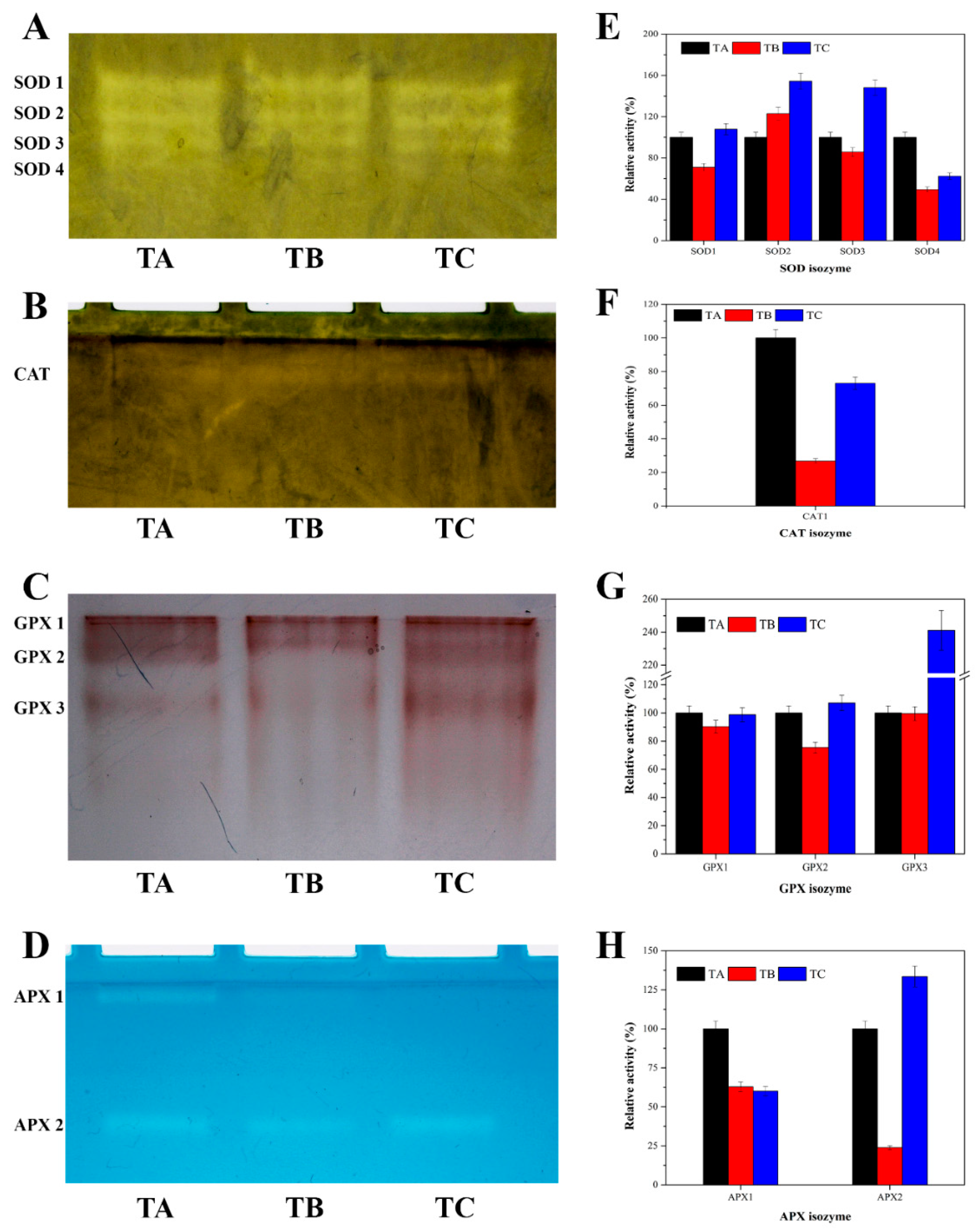 Agronomy 08 00173 g005 Agronomy 08 00173 g005