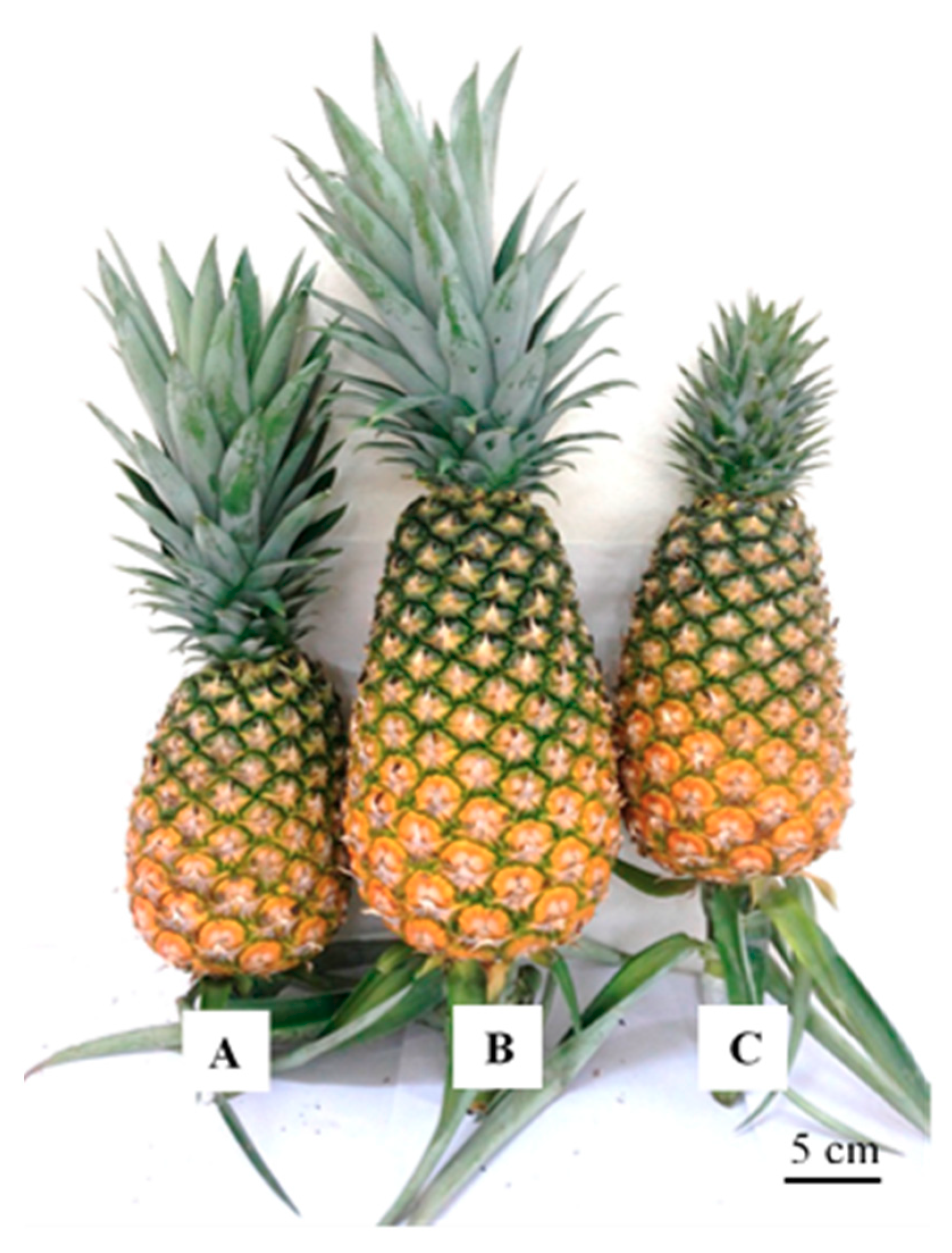 Agronomy 08 00183 g002 Agronomy 08 00183 g002