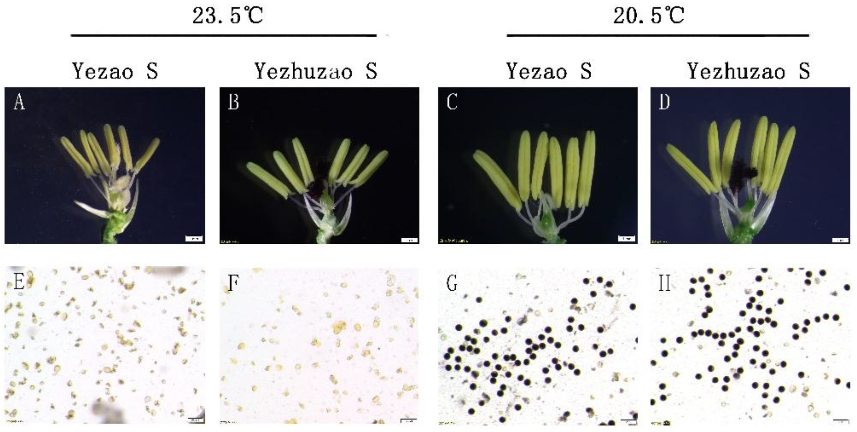 Agronomy 08 00191 g002