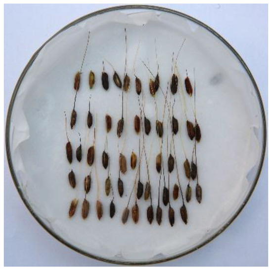 Agronomy 08 00191 g0a1