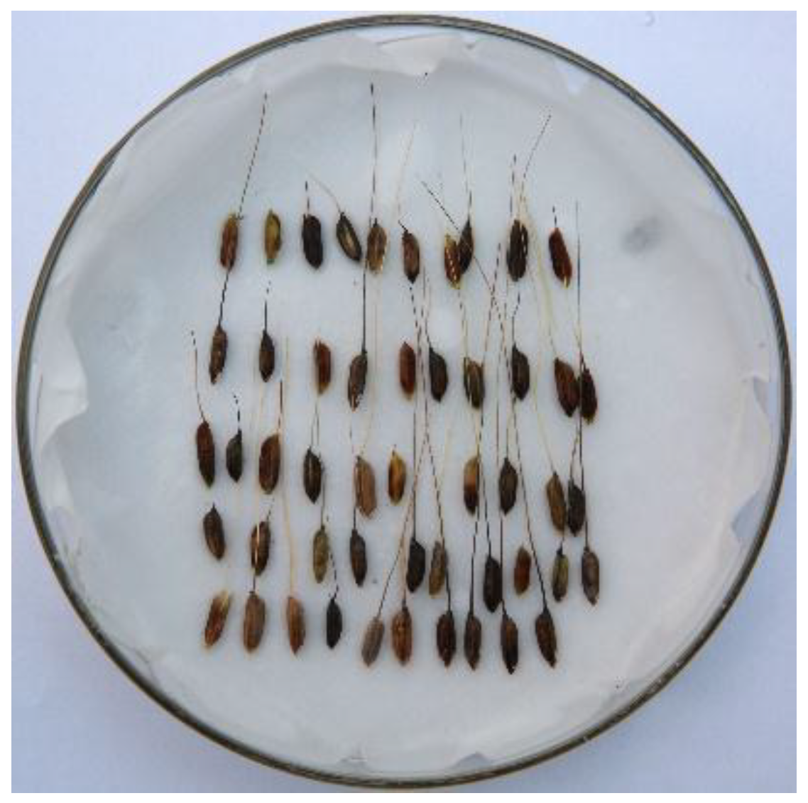 Agronomy 08 00191 g0a1