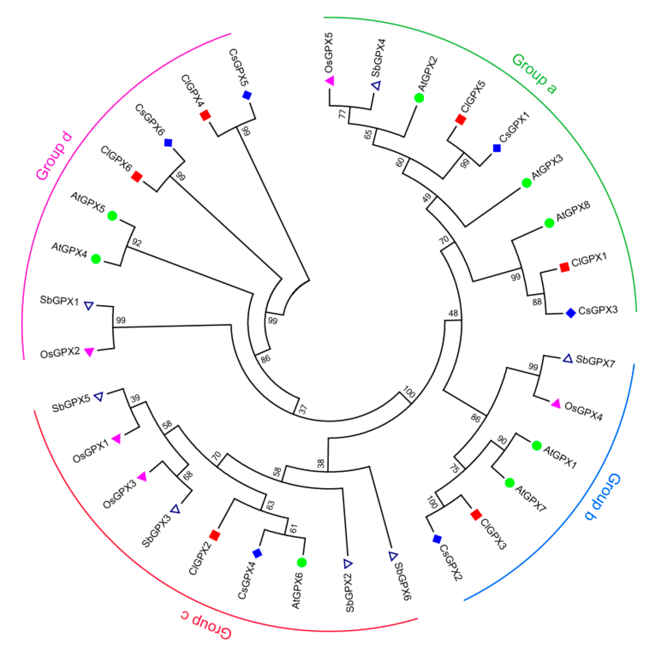 Agronomy 08 00206 g002