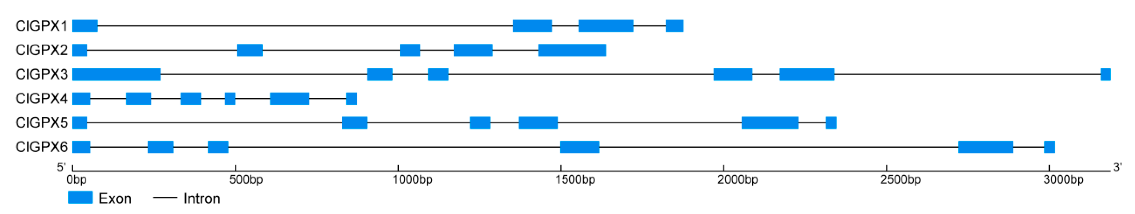 Agronomy 08 00206 g003