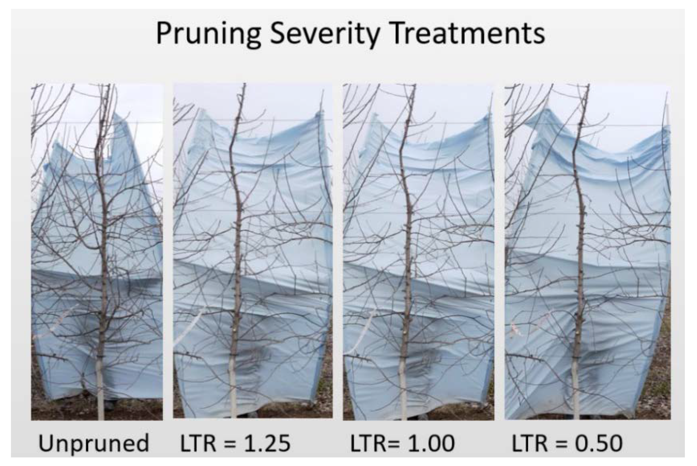 Agronomy 08 00211 g003