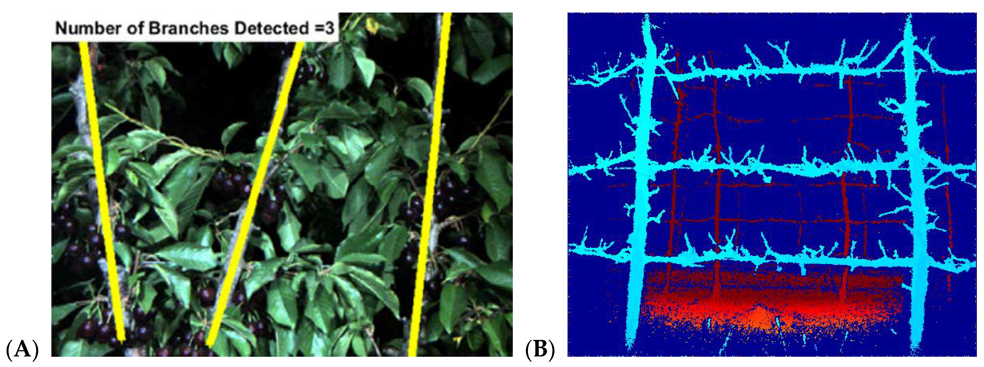Agronomy 08 00211 g005
