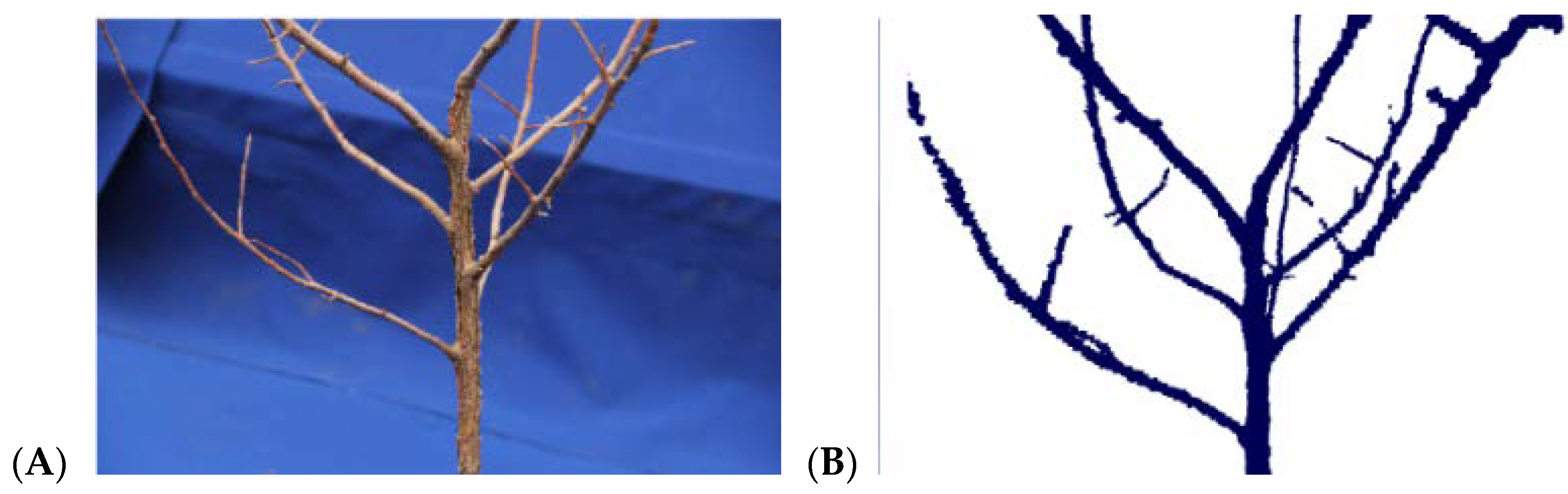 Agronomy 08 00211 g006