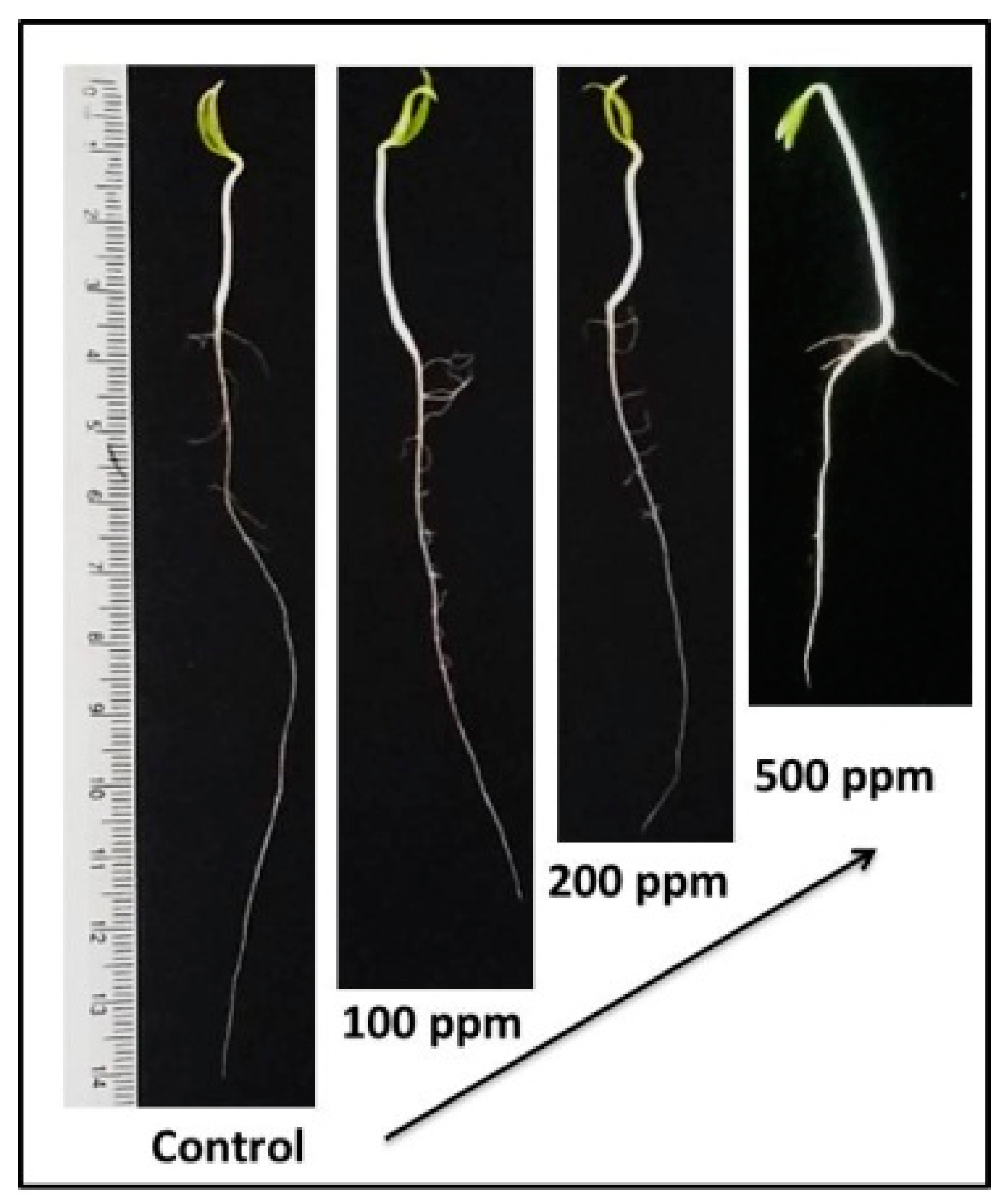 Agronomy 08 00215 g003