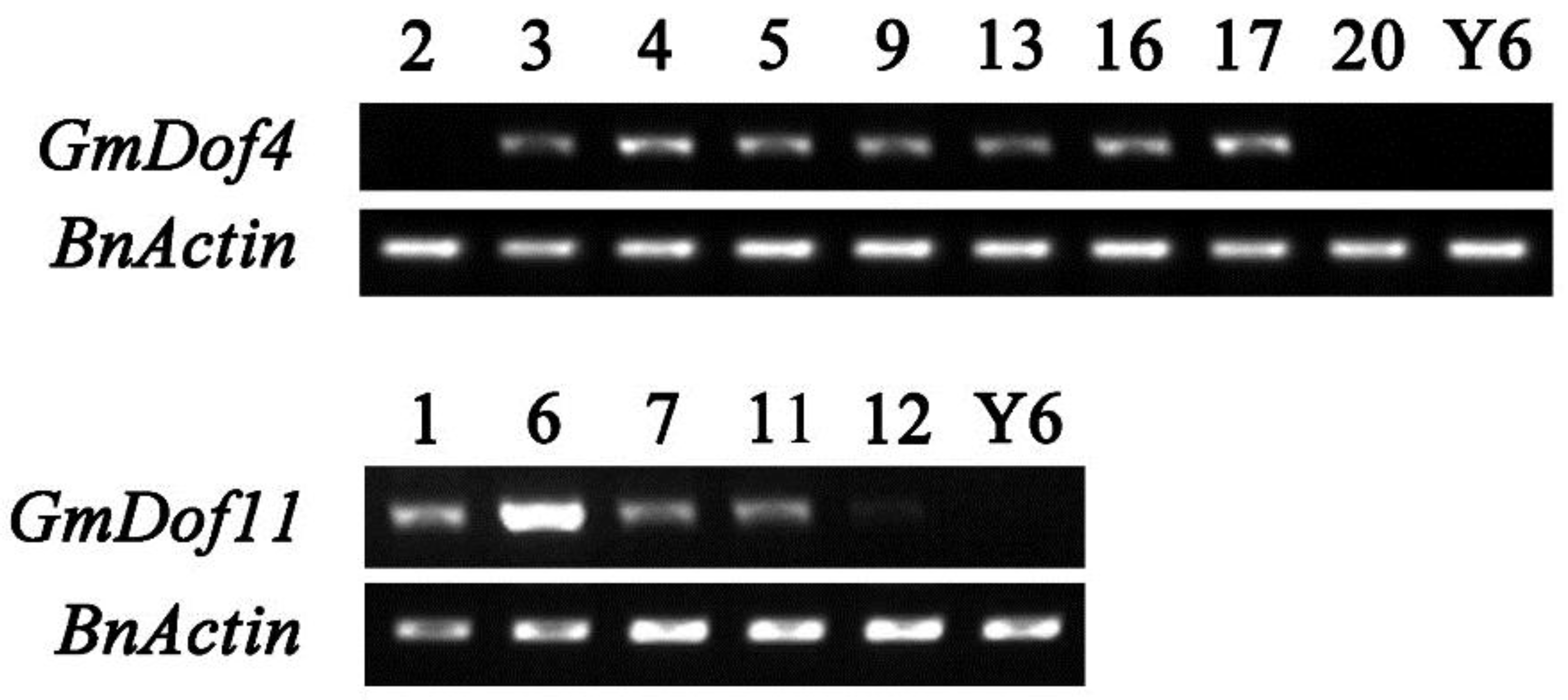 Agronomy 08 00222 g001 Agronomy 08 00222 g001