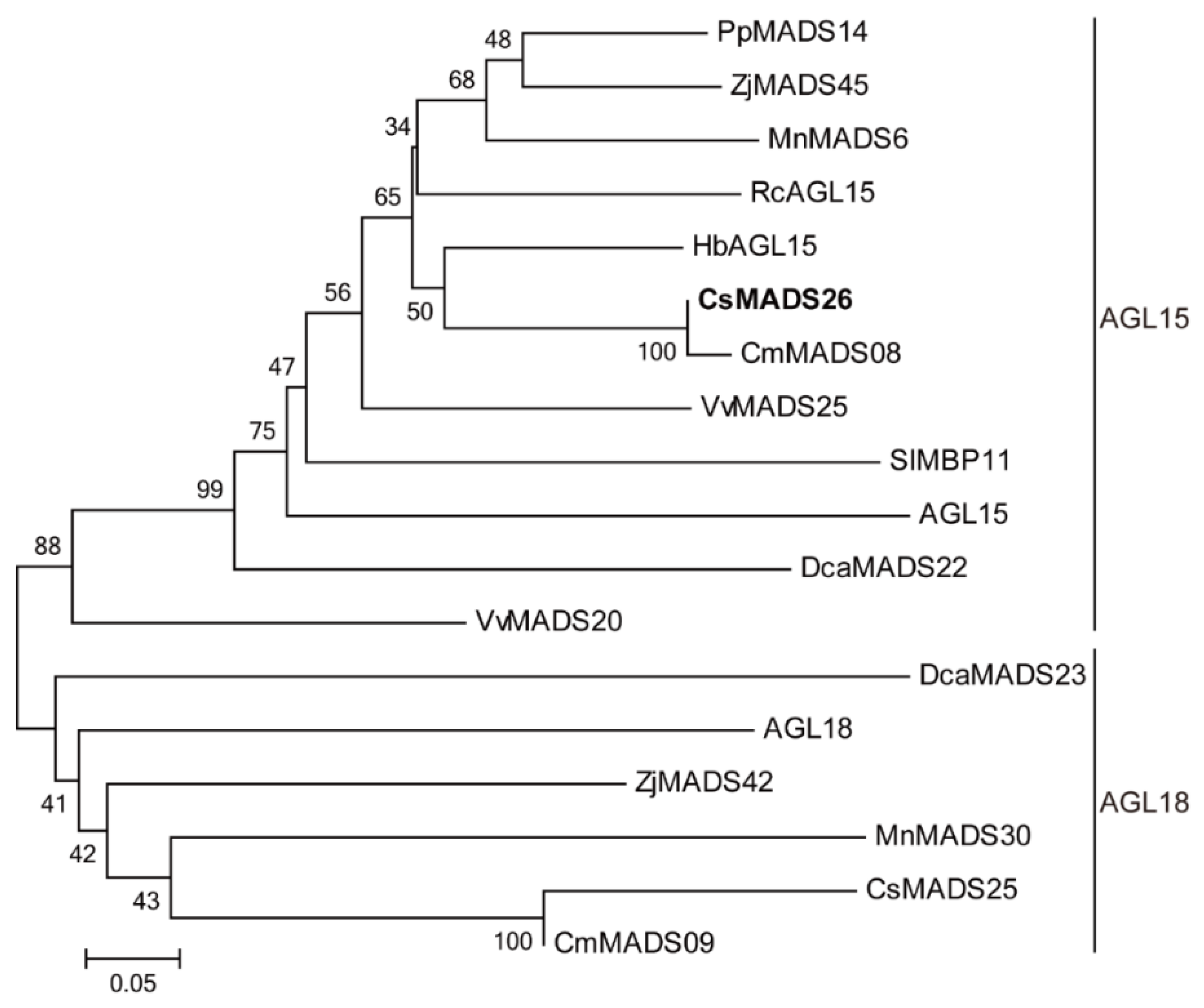 Agronomy 08 00265 g004 Agronomy 08 00265 g004