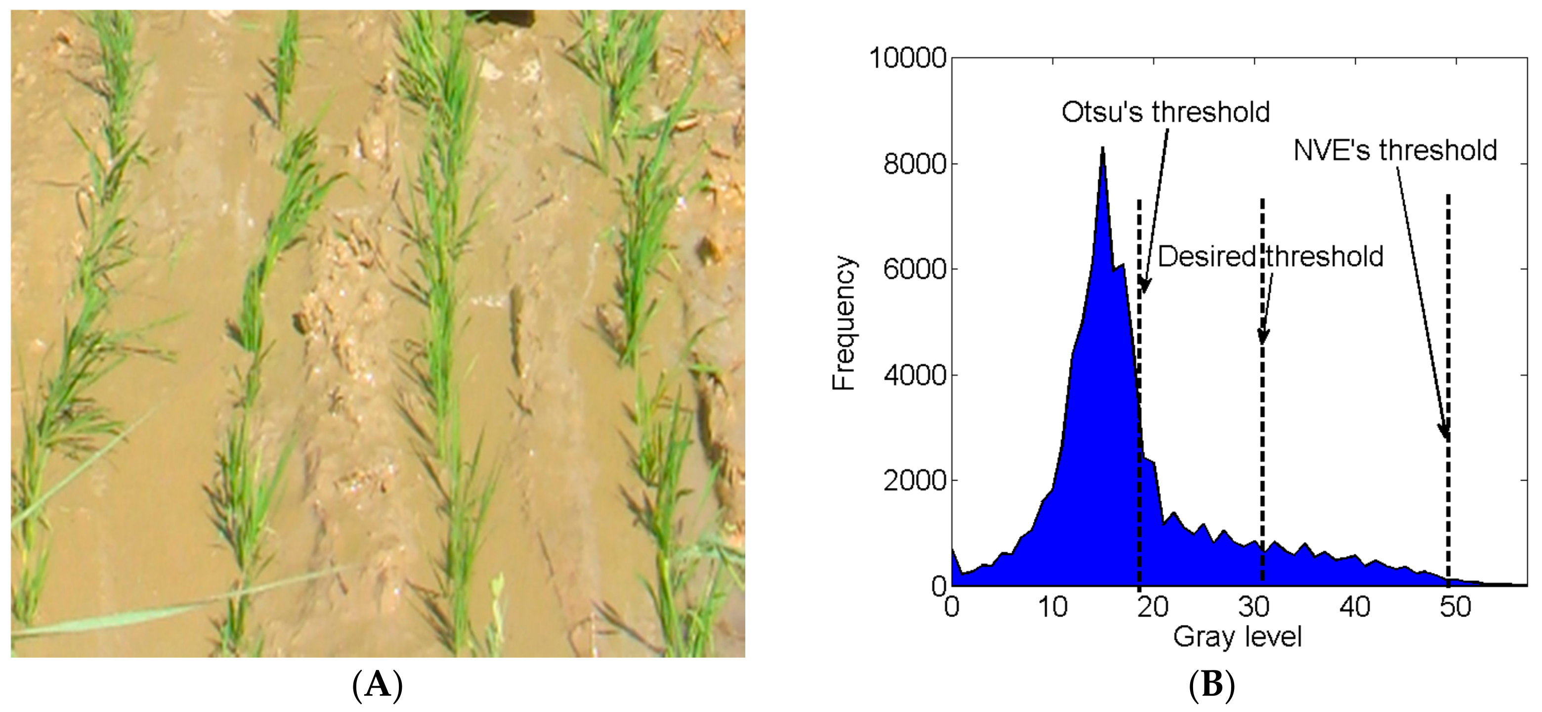 Agronomy 08 00269 g008 Agronomy 08 00269 g008