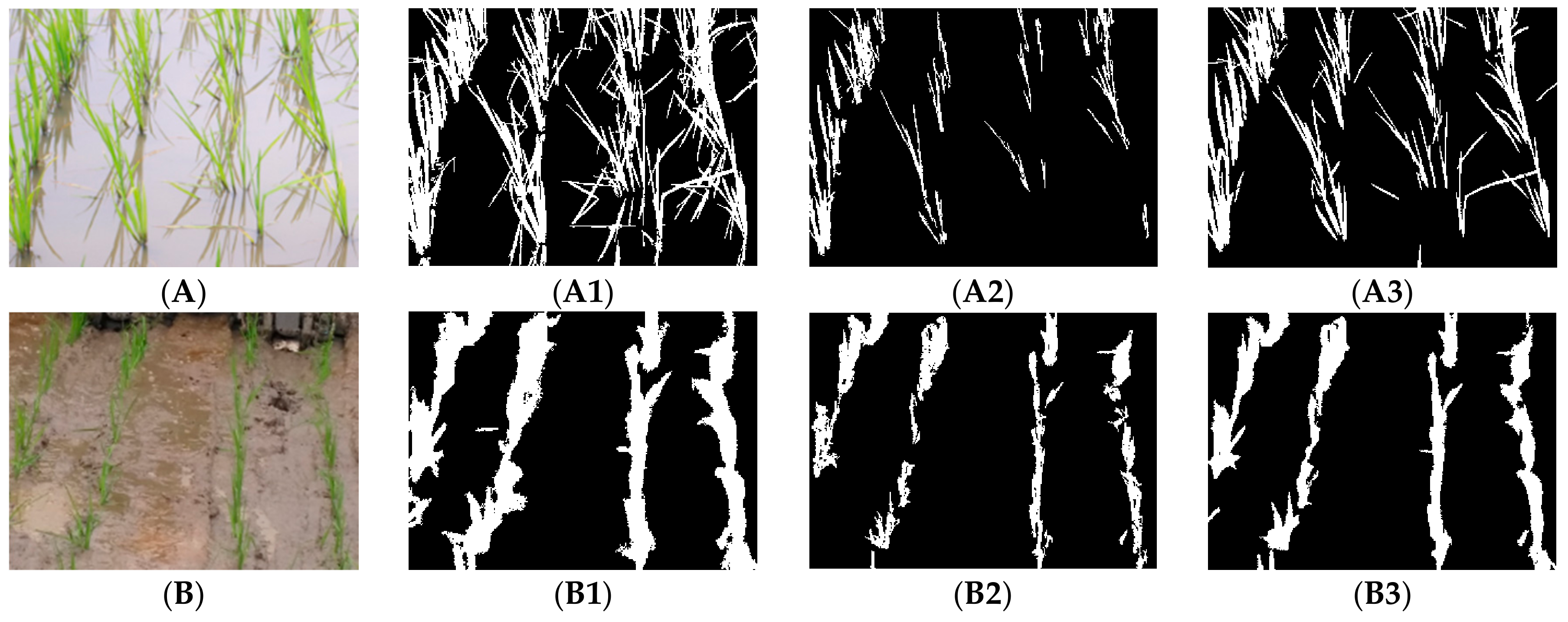 Agronomy 08 00269 g011a Agronomy 08 00269 g011a