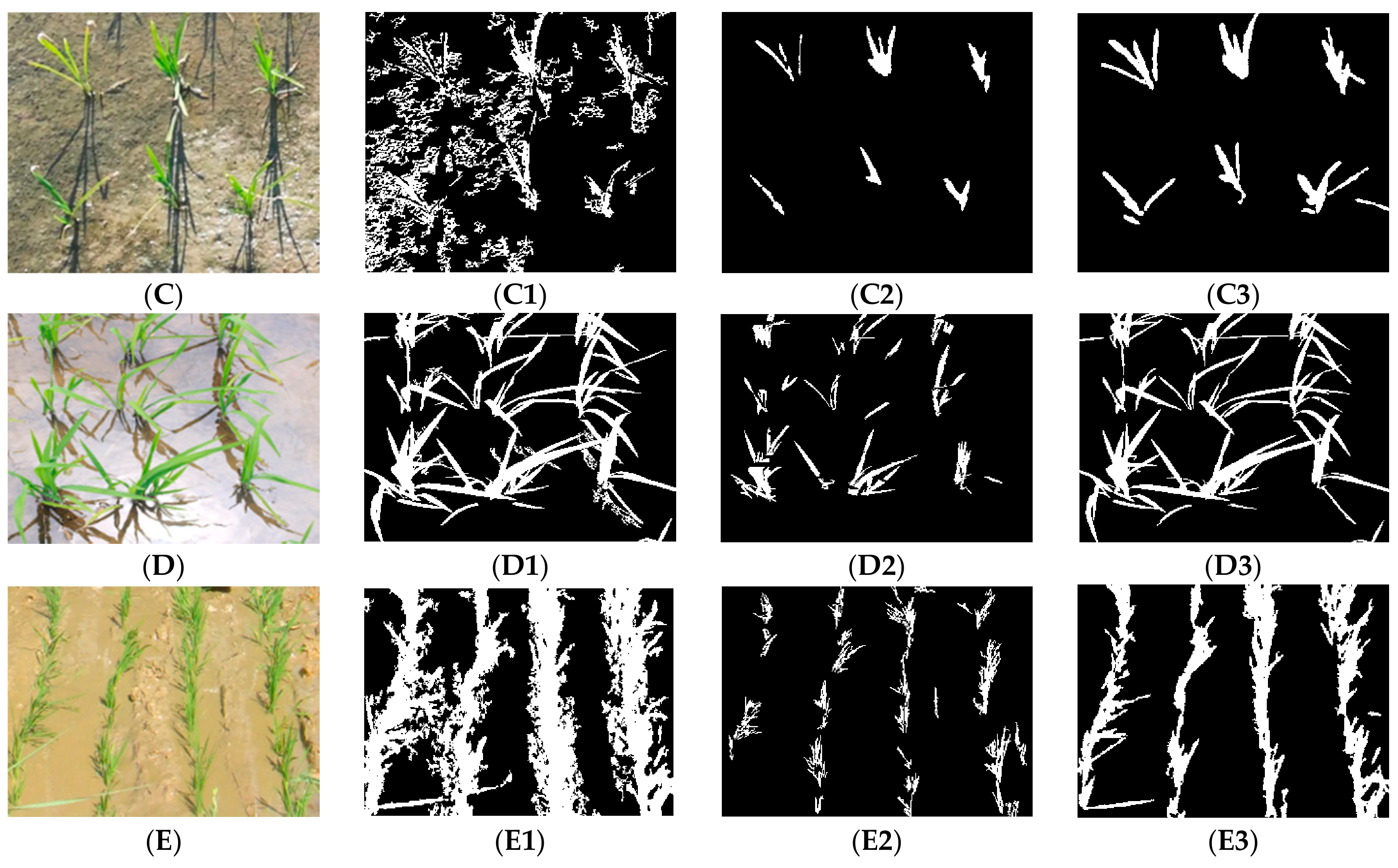 Agronomy 08 00269 g011b Agronomy 08 00269 g011b