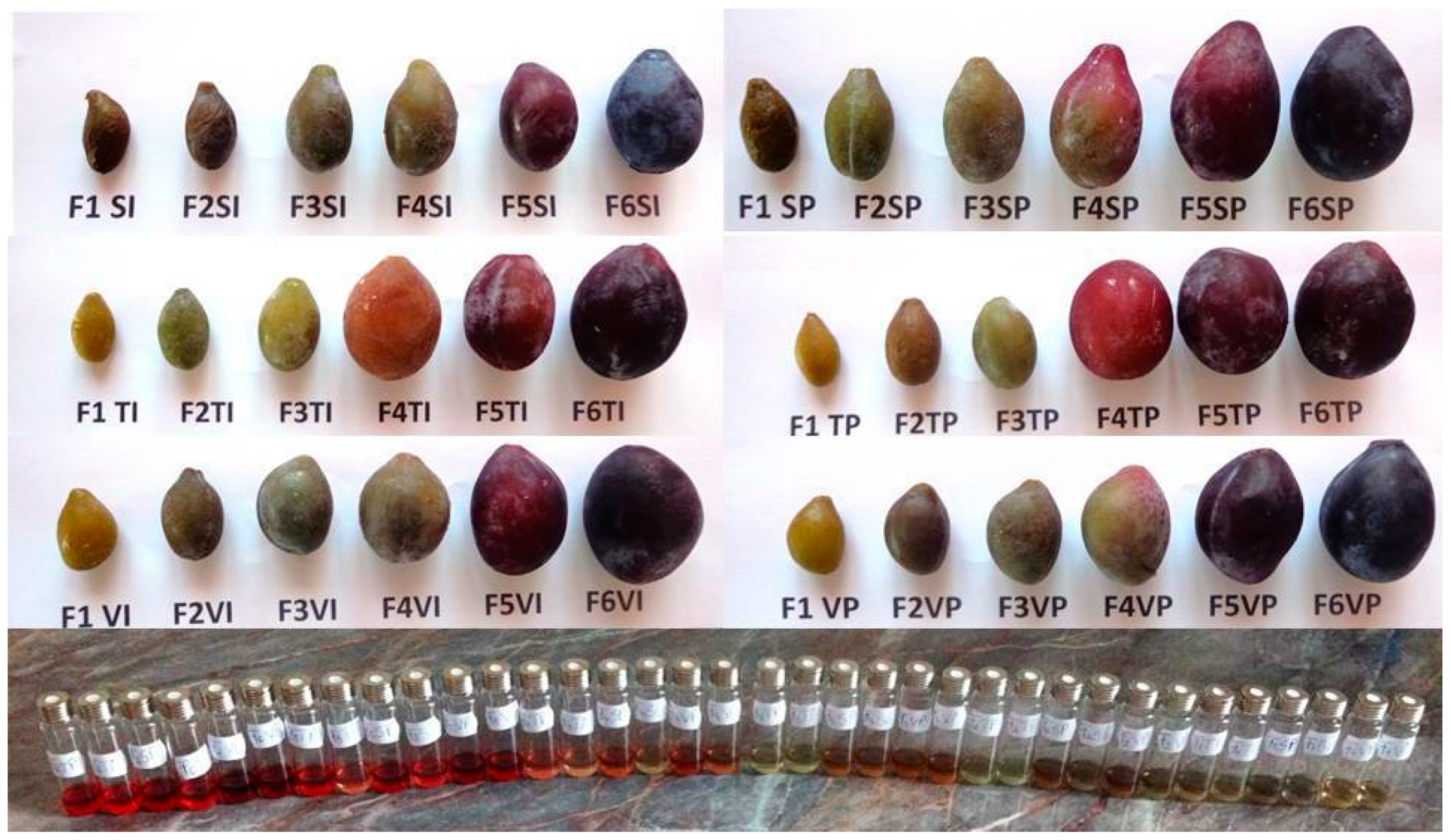 Agronomy 08 00306 g001