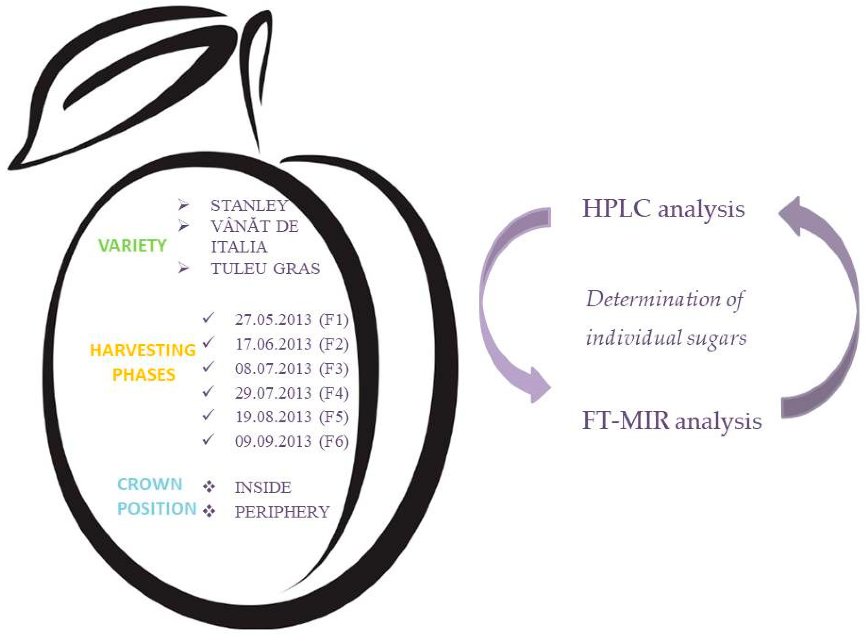 Agronomy 08 00306 g002