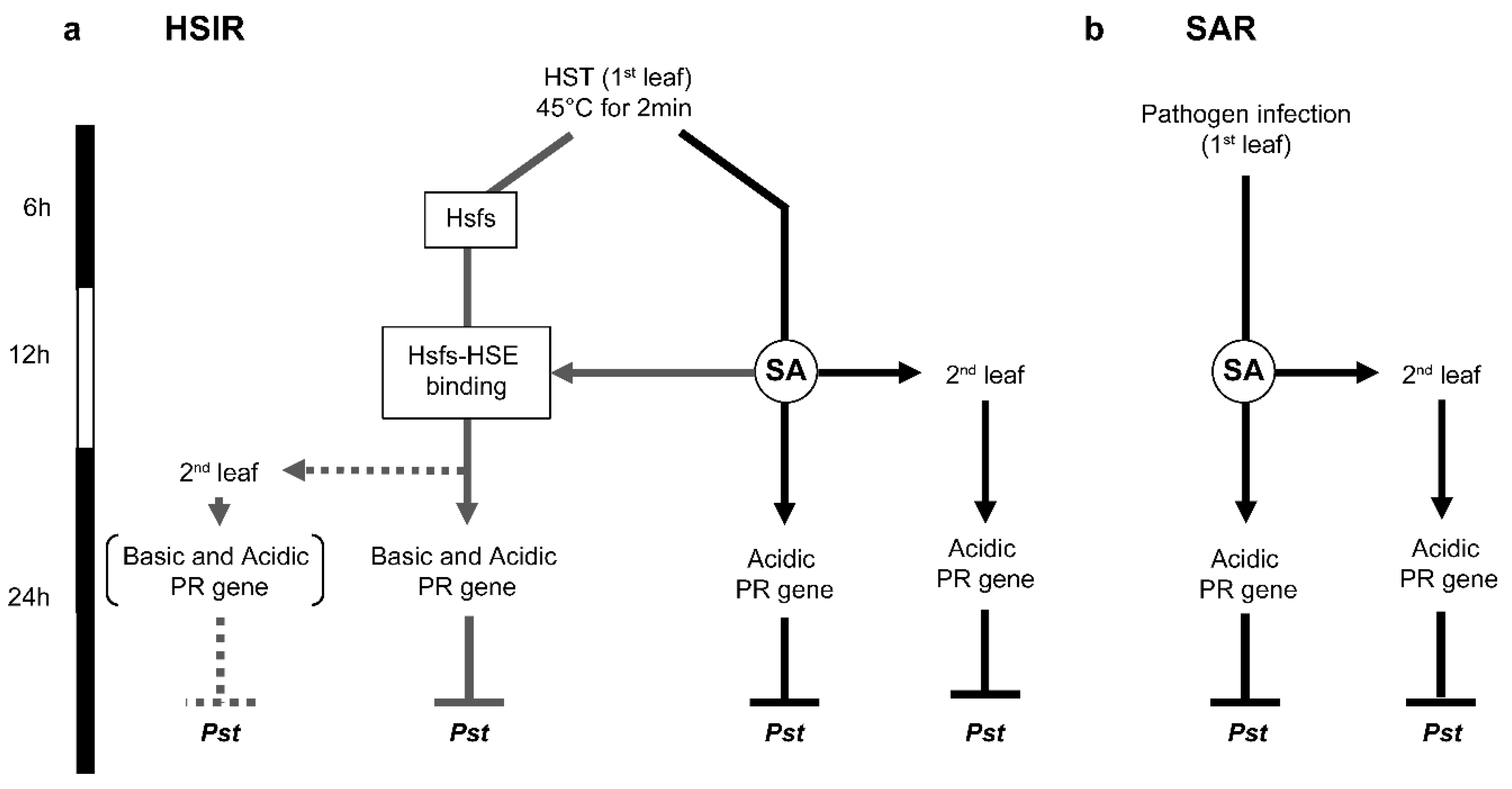 Agronomy 09 00002 g012 Agronomy 09 00002 g012