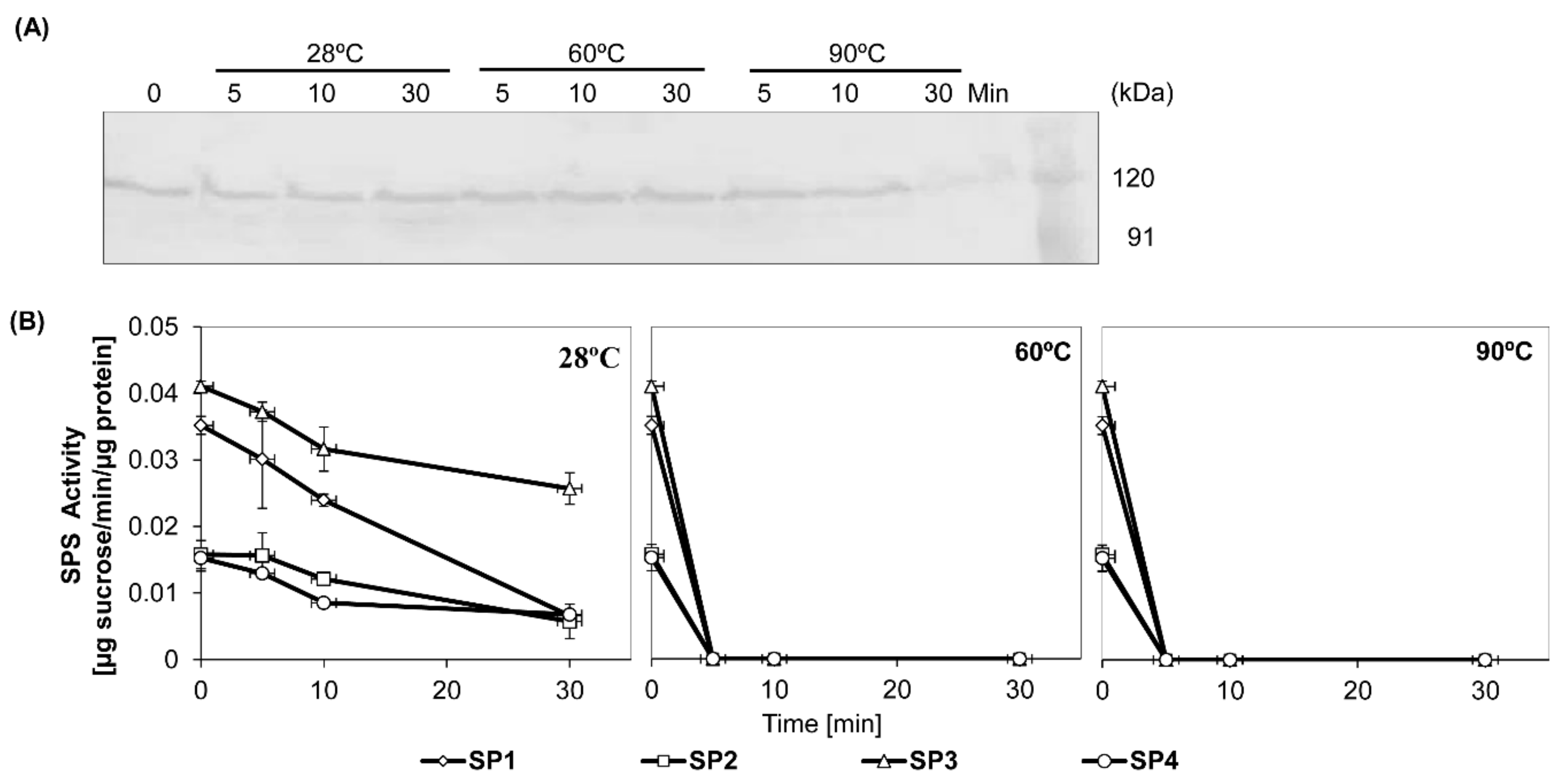 Agronomy 09 00023 g001
